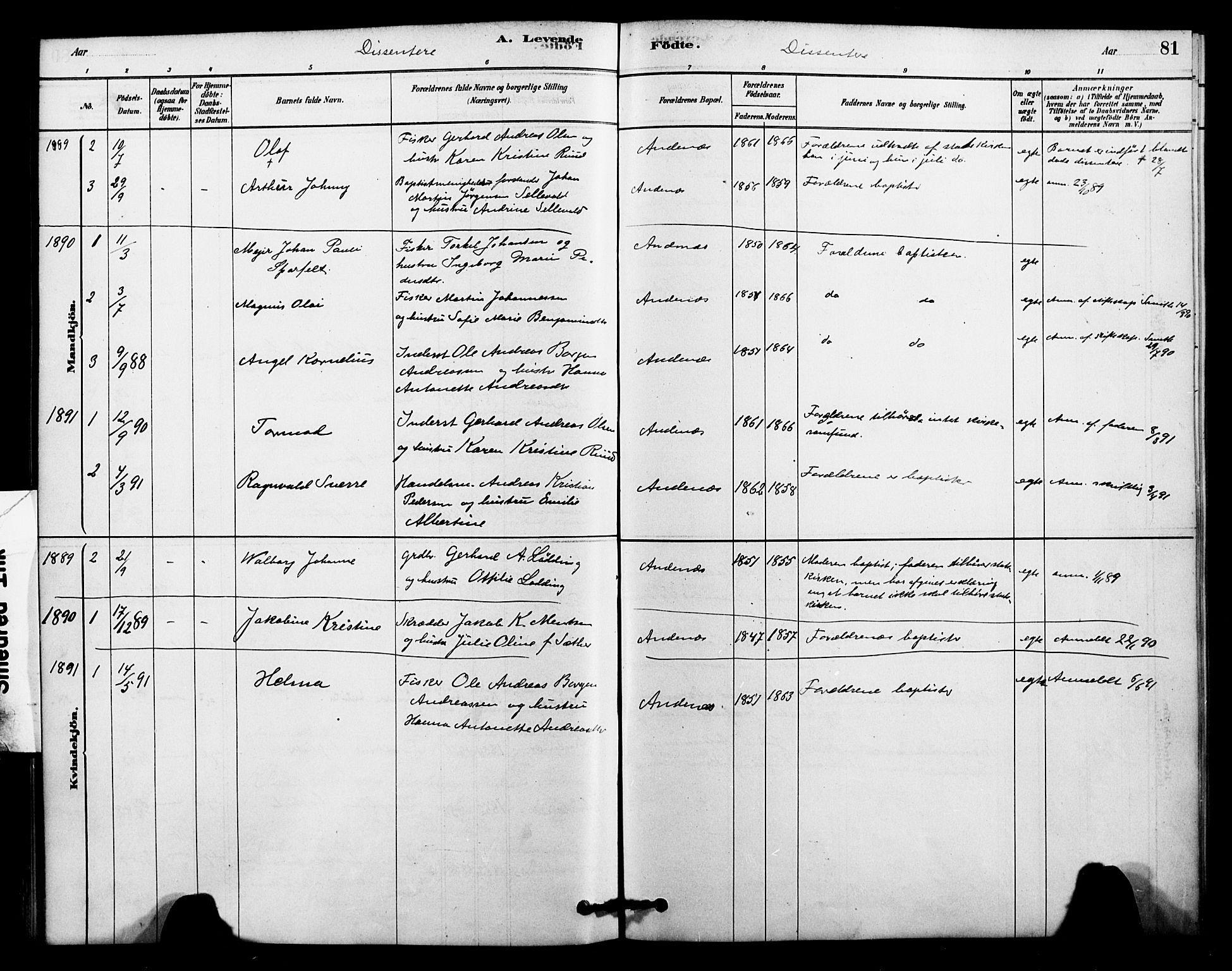 Ministerialprotokoller, klokkerbøker og fødselsregistre - Nordland, AV/SAT-A-1459/899/L1436: Parish register (official) no. 899A04, 1881-1896, p. 81