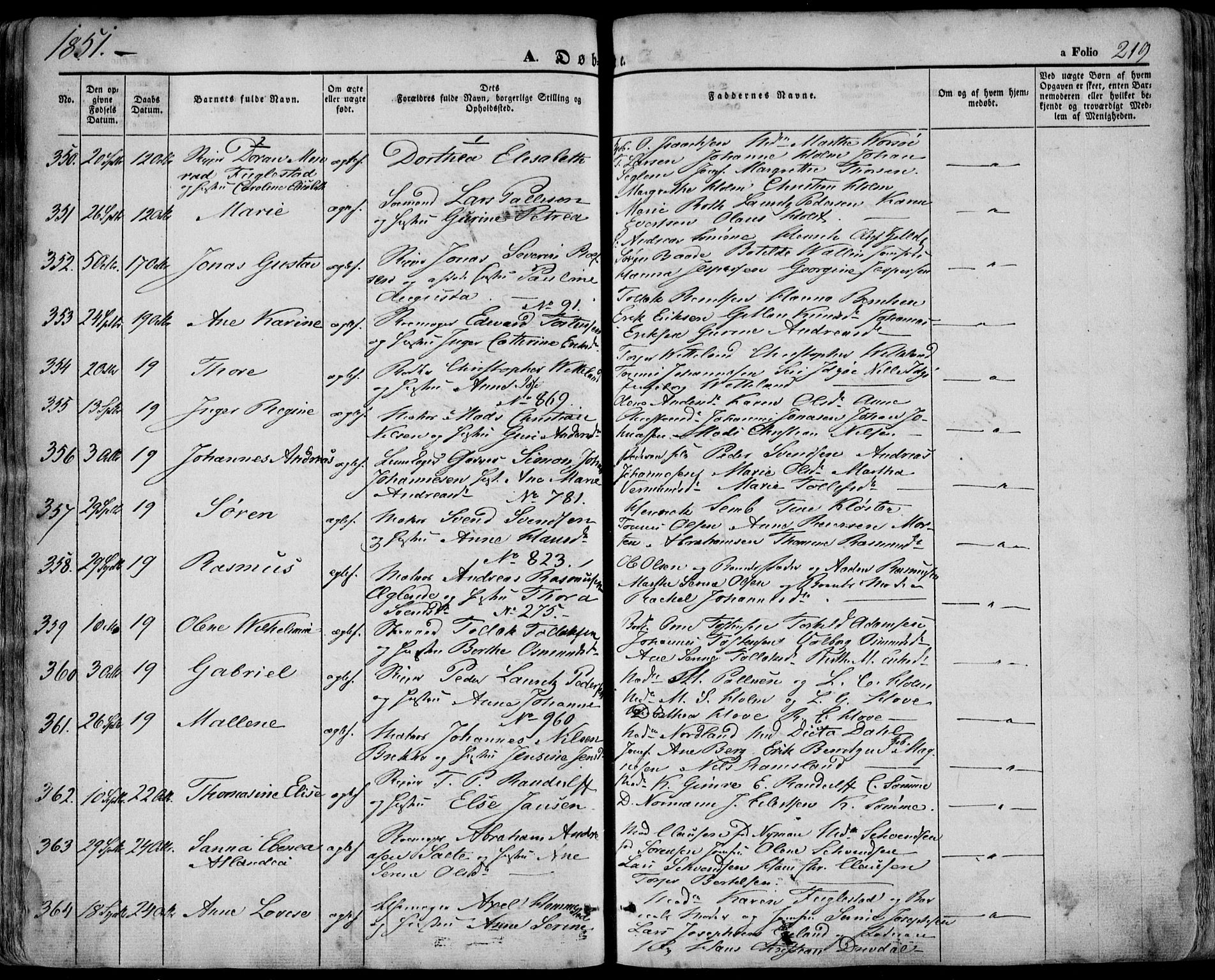 Domkirken sokneprestkontor, SAST/A-101812/001/30/30BA/L0016: Parish register (official) no. A 15, 1844-1854, p. 219
