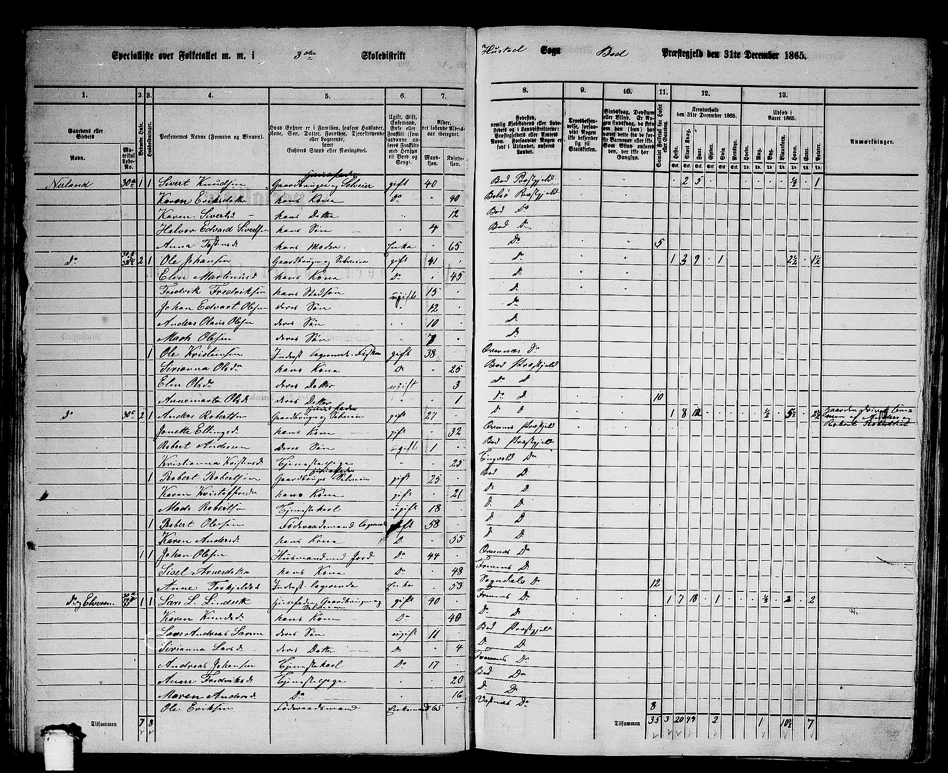 RA, 1865 census for Bud, 1865, p. 34