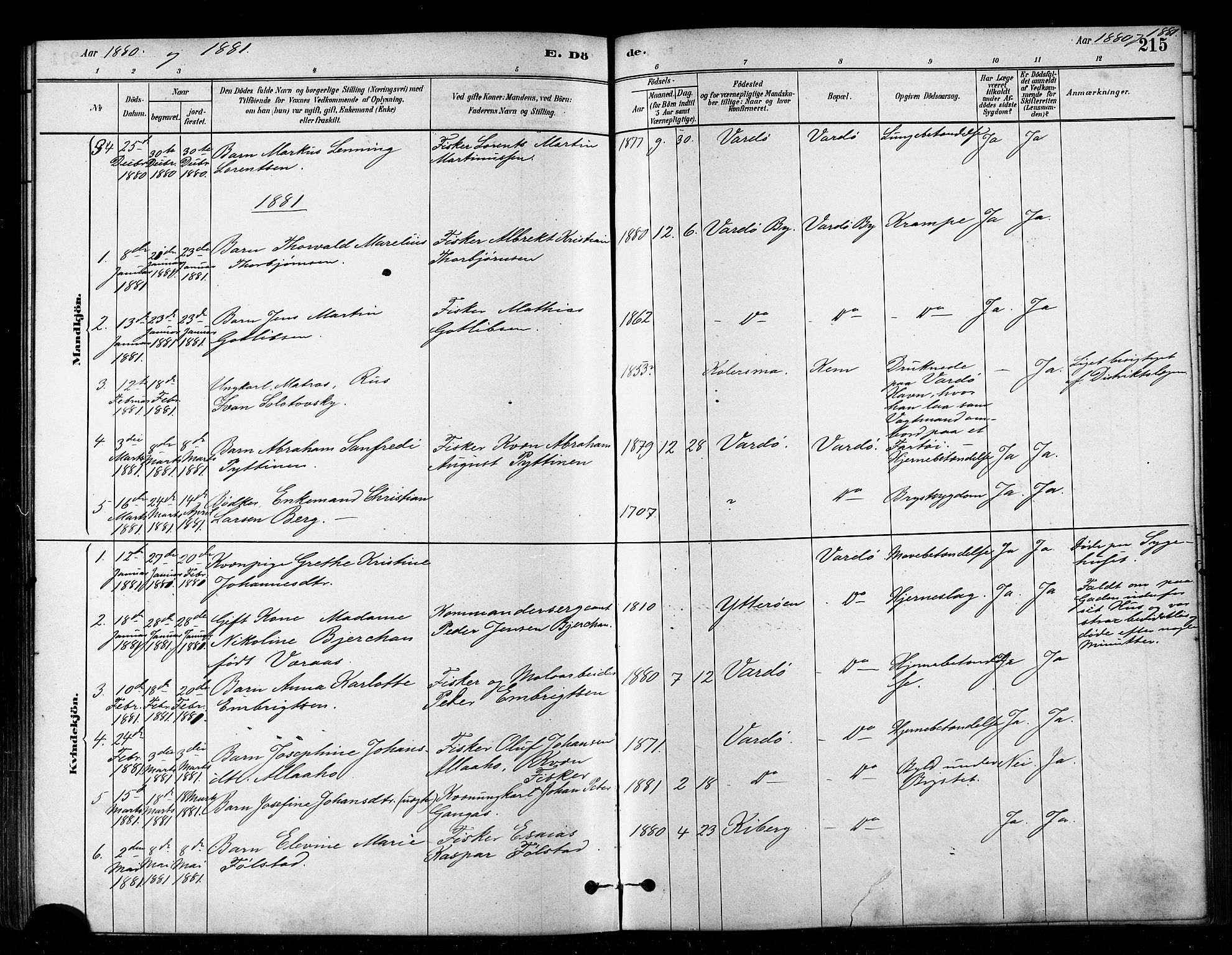 Vardø sokneprestkontor, AV/SATØ-S-1332/H/Ha/L0006kirke: Parish register (official) no. 6, 1879-1886, p. 215
