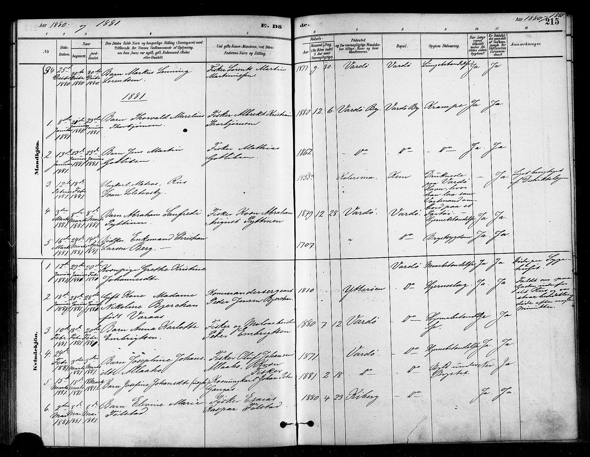 Vardø sokneprestkontor, SATØ/S-1332/H/Ha/L0006kirke: Parish register (official) no. 6, 1879-1886, p. 215