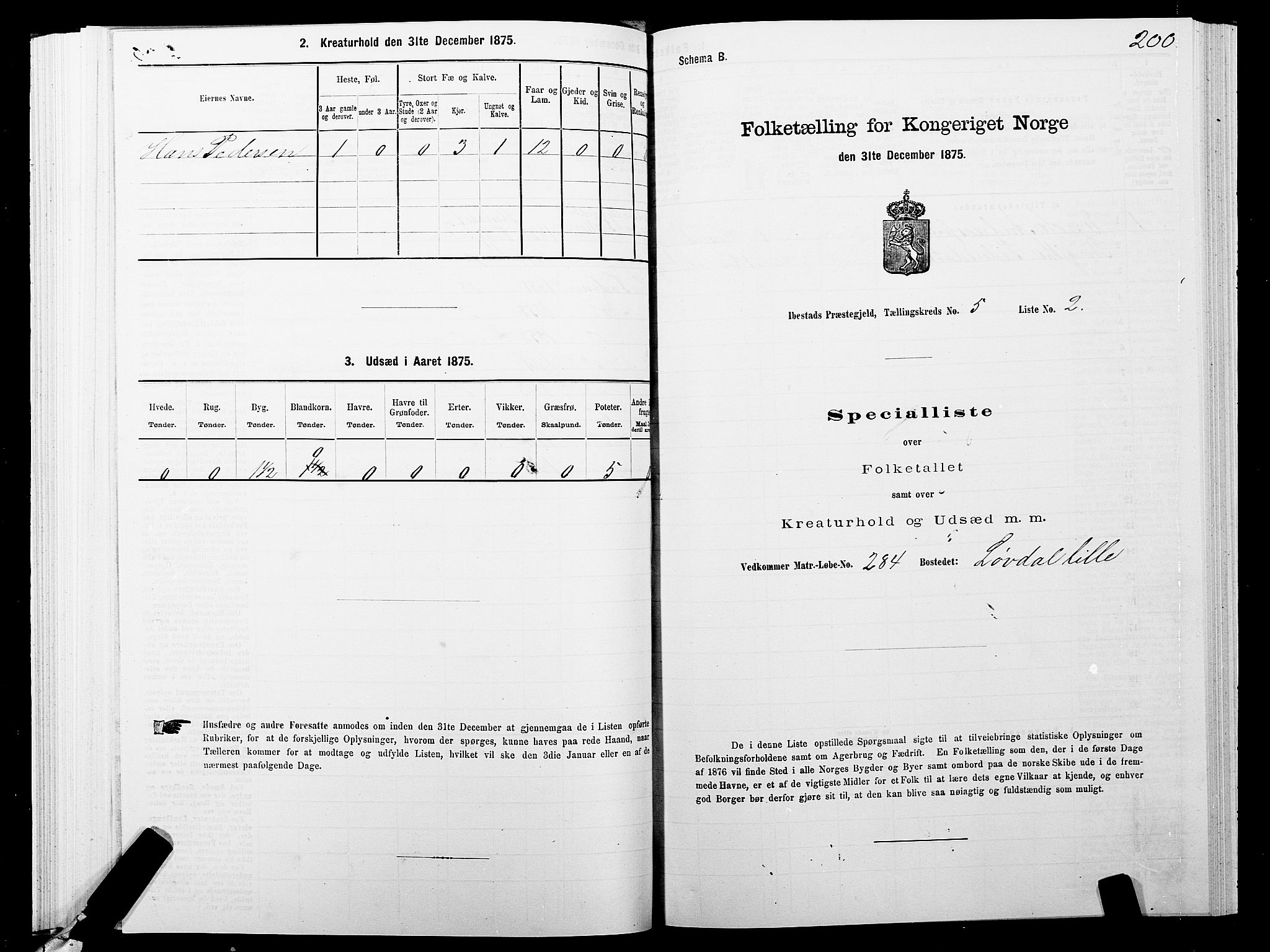 SATØ, 1875 census for 1917P Ibestad, 1875, p. 3200