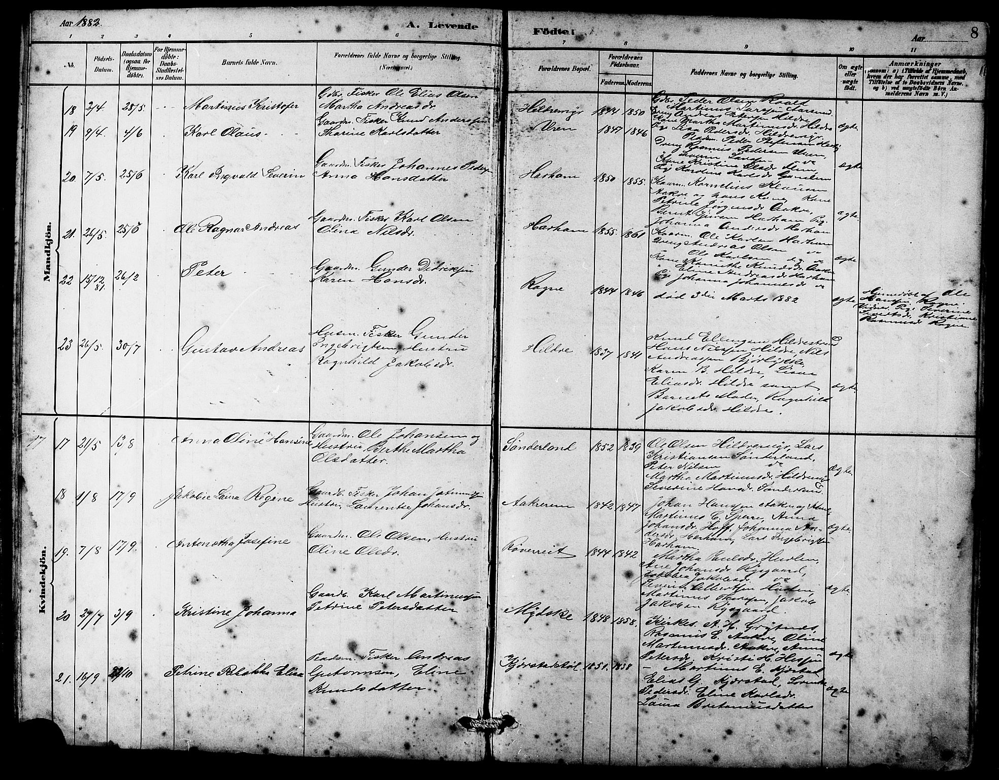 Ministerialprotokoller, klokkerbøker og fødselsregistre - Møre og Romsdal, AV/SAT-A-1454/536/L0510: Parish register (copy) no. 536C05, 1881-1898, p. 8