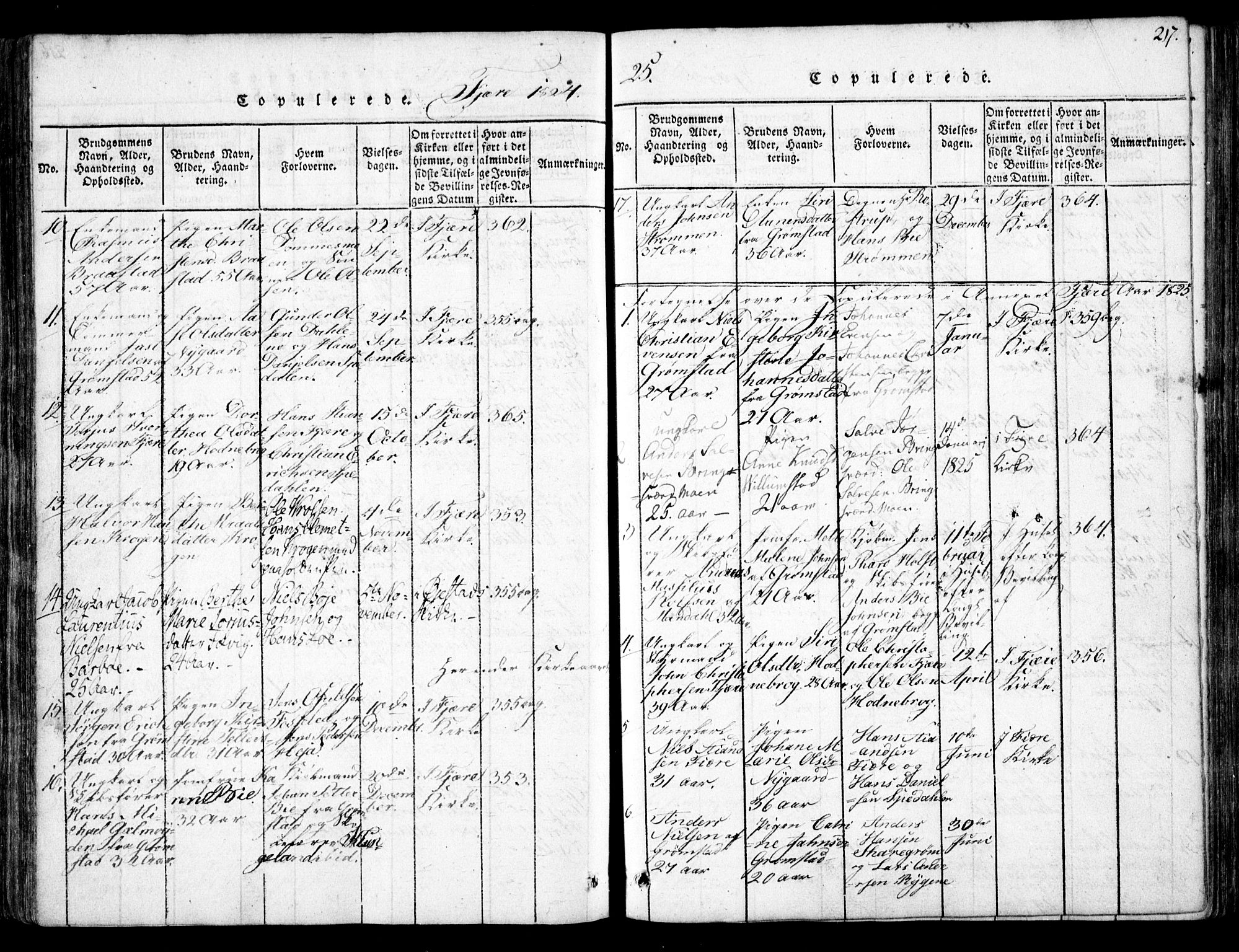 Fjære sokneprestkontor, AV/SAK-1111-0011/F/Fb/L0007: Parish register (copy) no. B 7, 1816-1826, p. 217