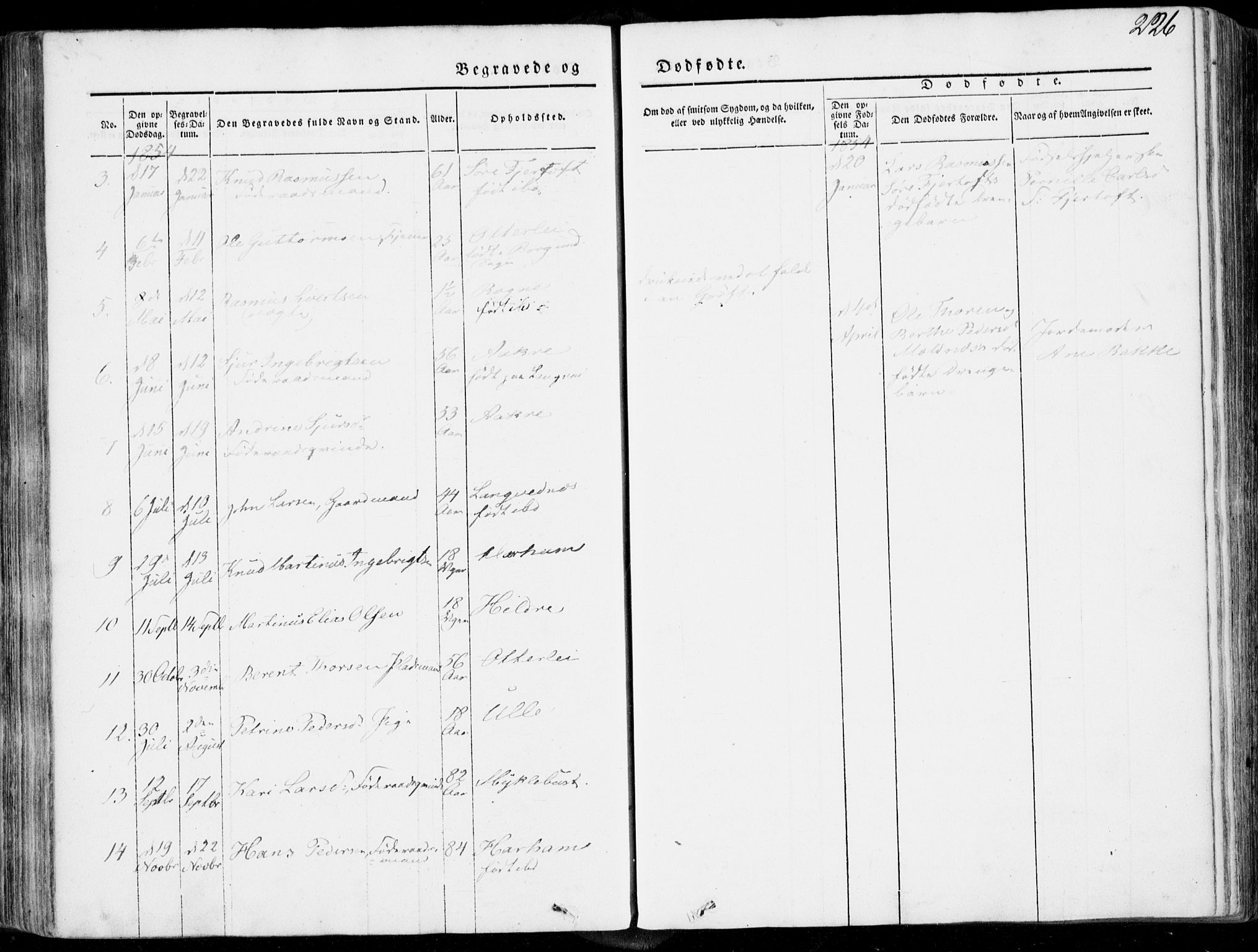 Ministerialprotokoller, klokkerbøker og fødselsregistre - Møre og Romsdal, AV/SAT-A-1454/536/L0497: Parish register (official) no. 536A06, 1845-1865, p. 226