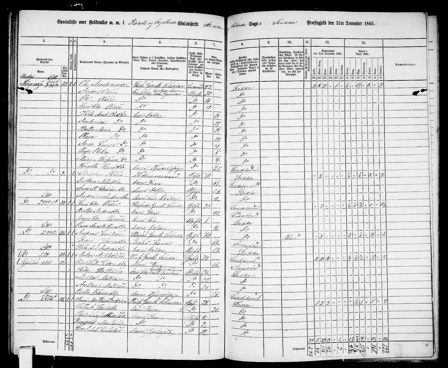 RA, 1865 census for Stokke, 1865, p. 125
