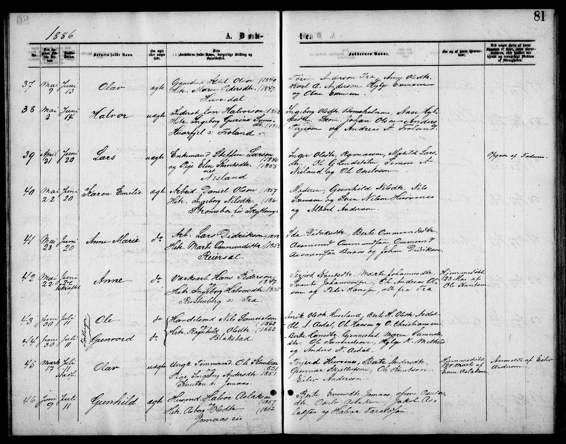 Froland sokneprestkontor, AV/SAK-1111-0013/F/Fb/L0009: Parish register (copy) no. B 9, 1875-1893, p. 81