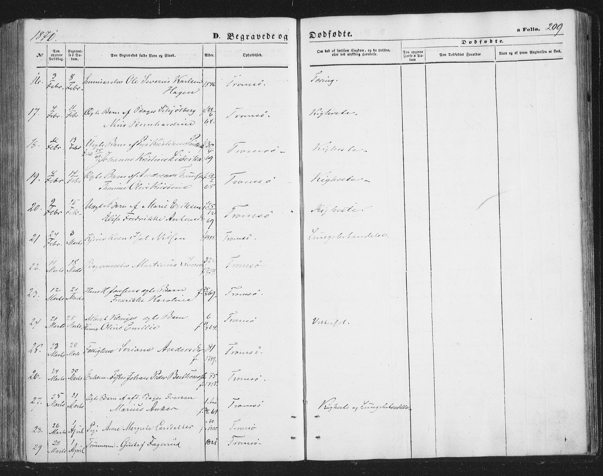 Tromsø sokneprestkontor/stiftsprosti/domprosti, SATØ/S-1343/G/Ga/L0012kirke: Parish register (official) no. 12, 1865-1871, p. 209
