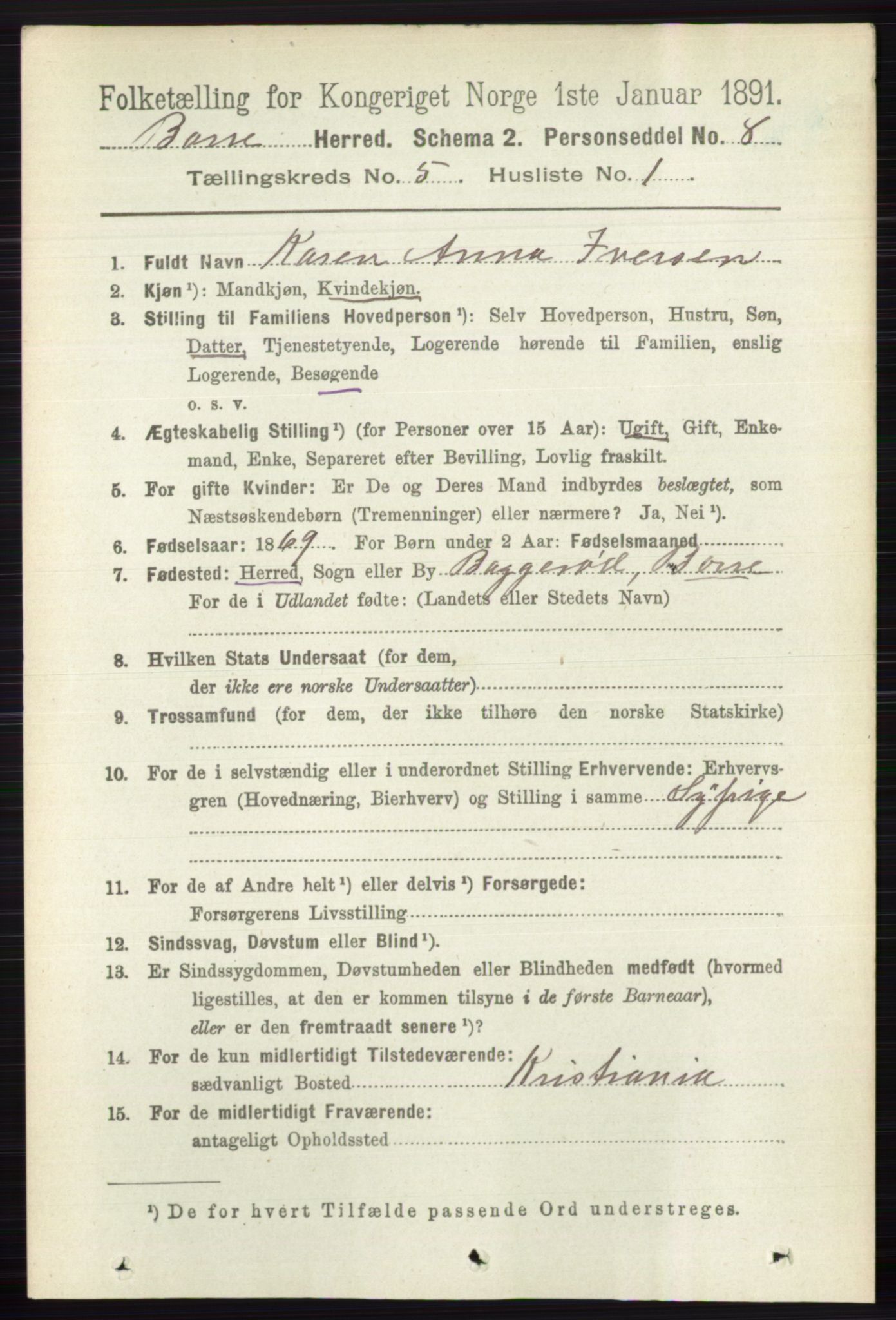 RA, 1891 census for 0717 Borre, 1891, p. 2019