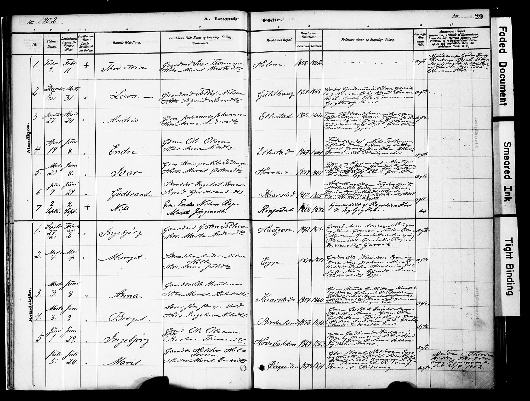 Vestre Slidre prestekontor, SAH/PREST-136/H/Ha/Haa/L0005: Parish register (official) no. 5, 1881-1912, p. 29