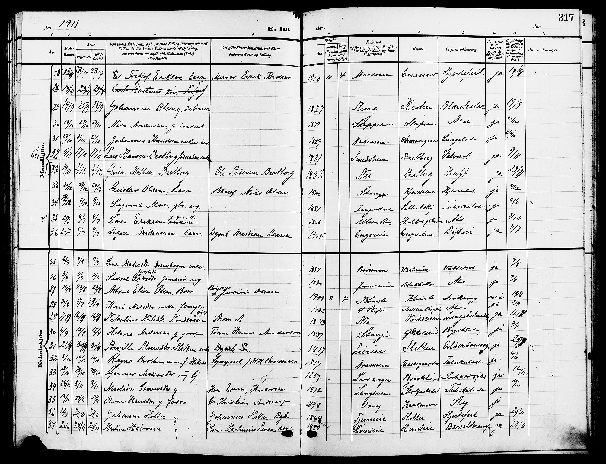 Ringsaker prestekontor, AV/SAH-PREST-014/L/La/L0015: Parish register (copy) no. 15, 1903-1912, p. 317