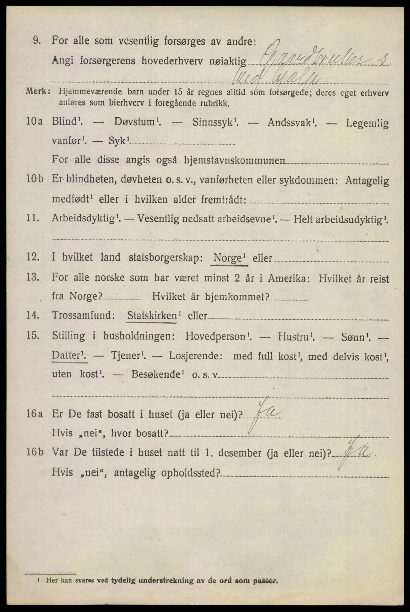 SAKO, 1920 census for Våle, 1920, p. 1247