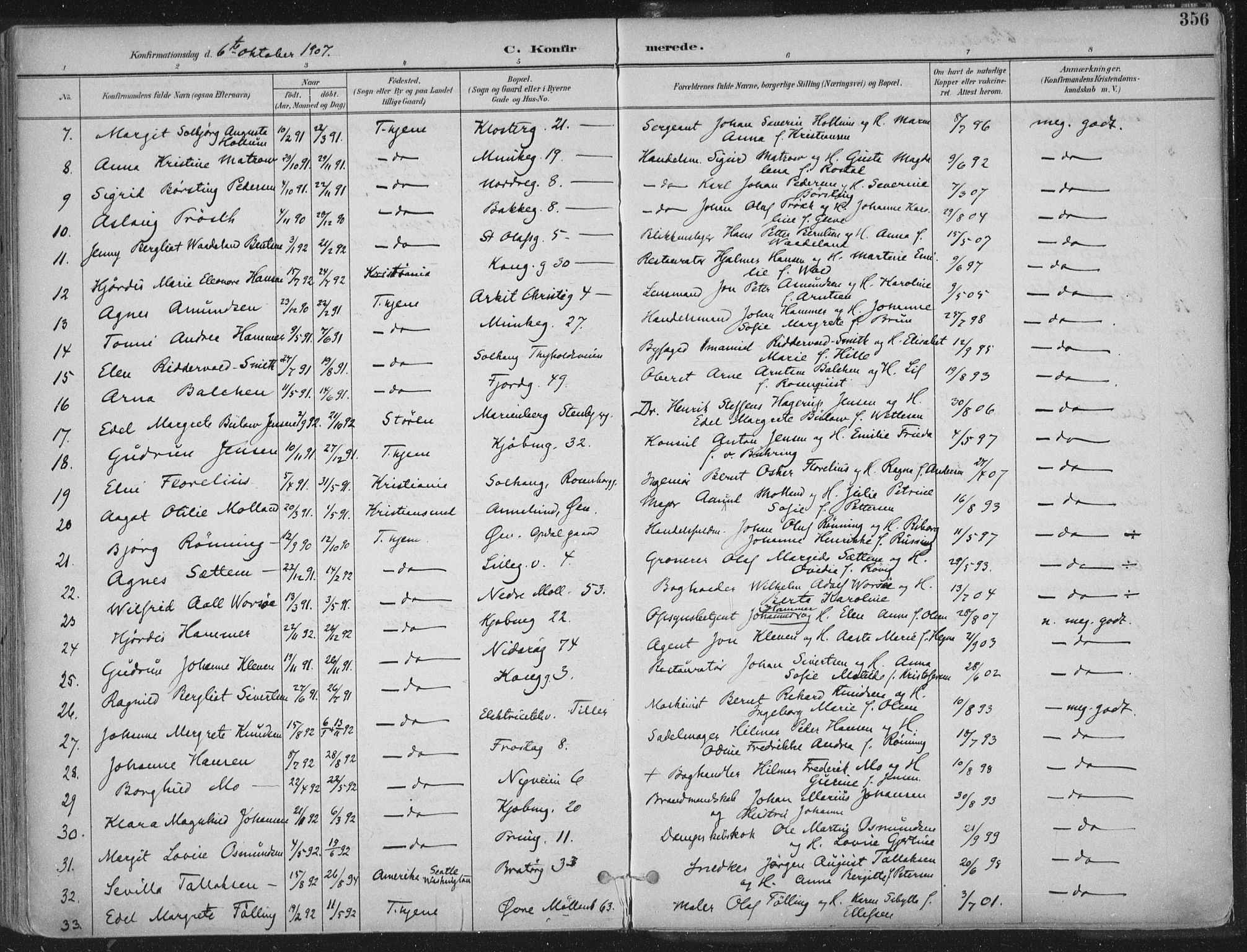 Ministerialprotokoller, klokkerbøker og fødselsregistre - Sør-Trøndelag, SAT/A-1456/601/L0062: Parish register (official) no. 601A30, 1891-1911, p. 356