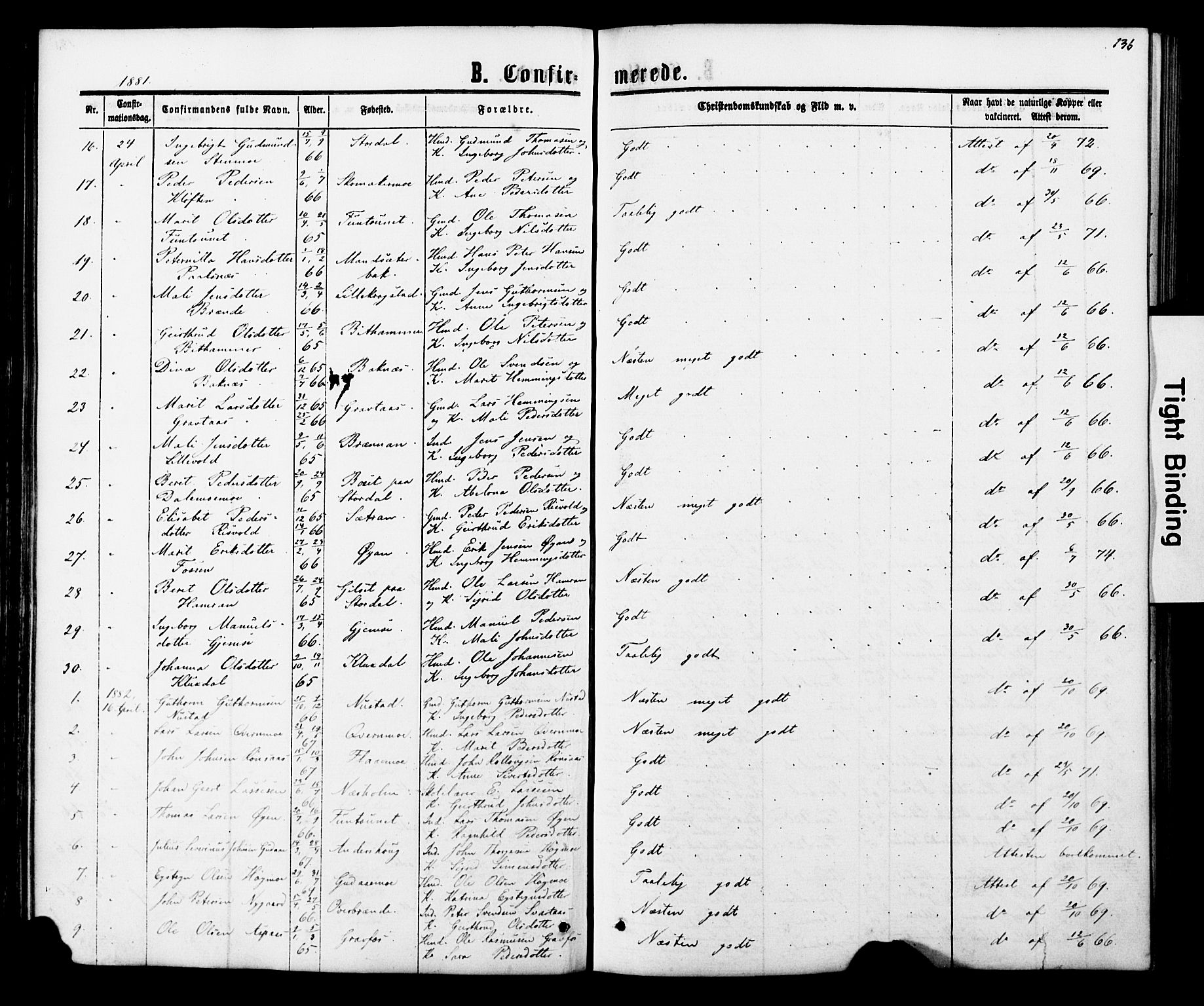 Ministerialprotokoller, klokkerbøker og fødselsregistre - Nord-Trøndelag, AV/SAT-A-1458/706/L0049: Parish register (copy) no. 706C01, 1864-1895, p. 136