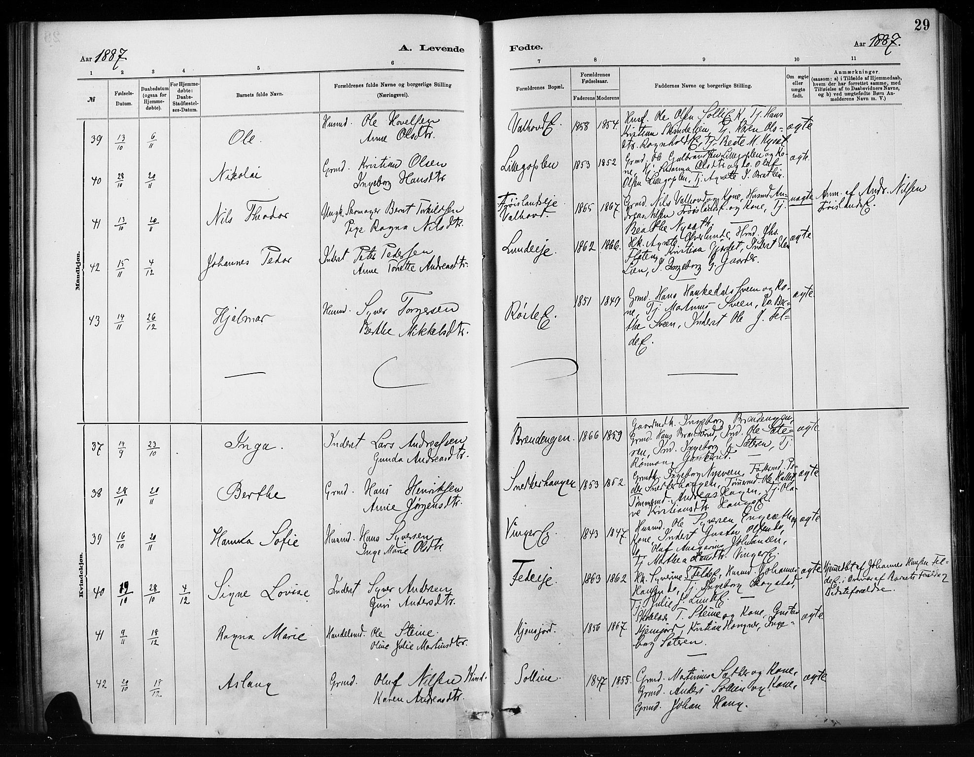 Nordre Land prestekontor, SAH/PREST-124/H/Ha/Haa/L0004: Parish register (official) no. 4, 1882-1896, p. 29