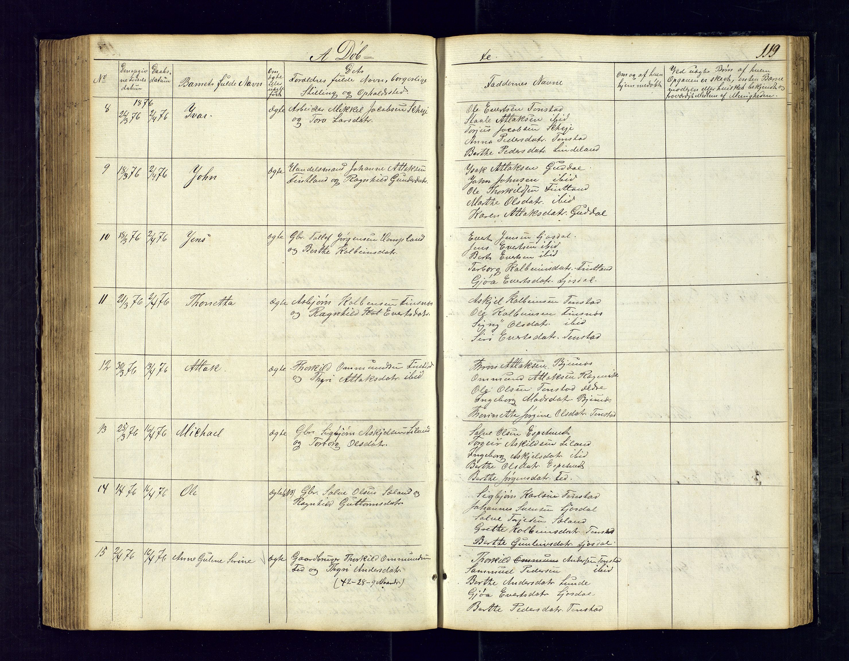 Sirdal sokneprestkontor, SAK/1111-0036/F/Fb/Fbb/L0002: Parish register (copy) no. B-2, 1848-1878, p. 119
