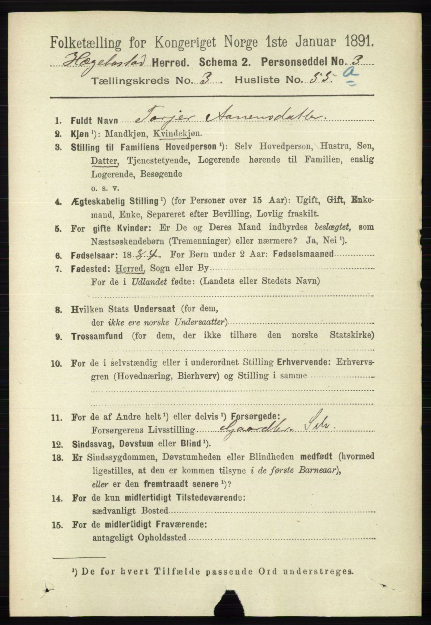 RA, 1891 census for 1034 Hægebostad, 1891, p. 1141