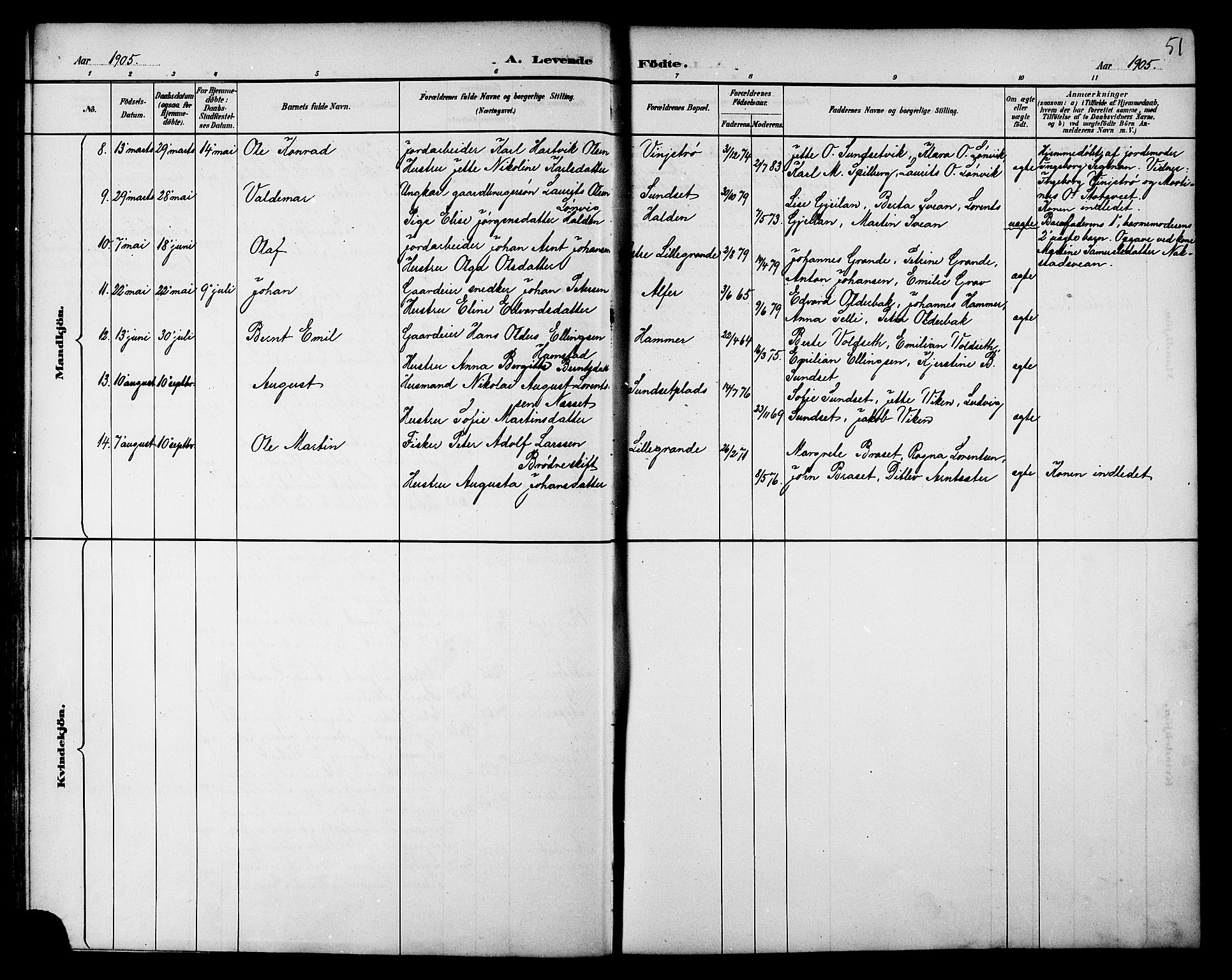 Ministerialprotokoller, klokkerbøker og fødselsregistre - Nord-Trøndelag, AV/SAT-A-1458/733/L0327: Parish register (copy) no. 733C02, 1888-1918, p. 51