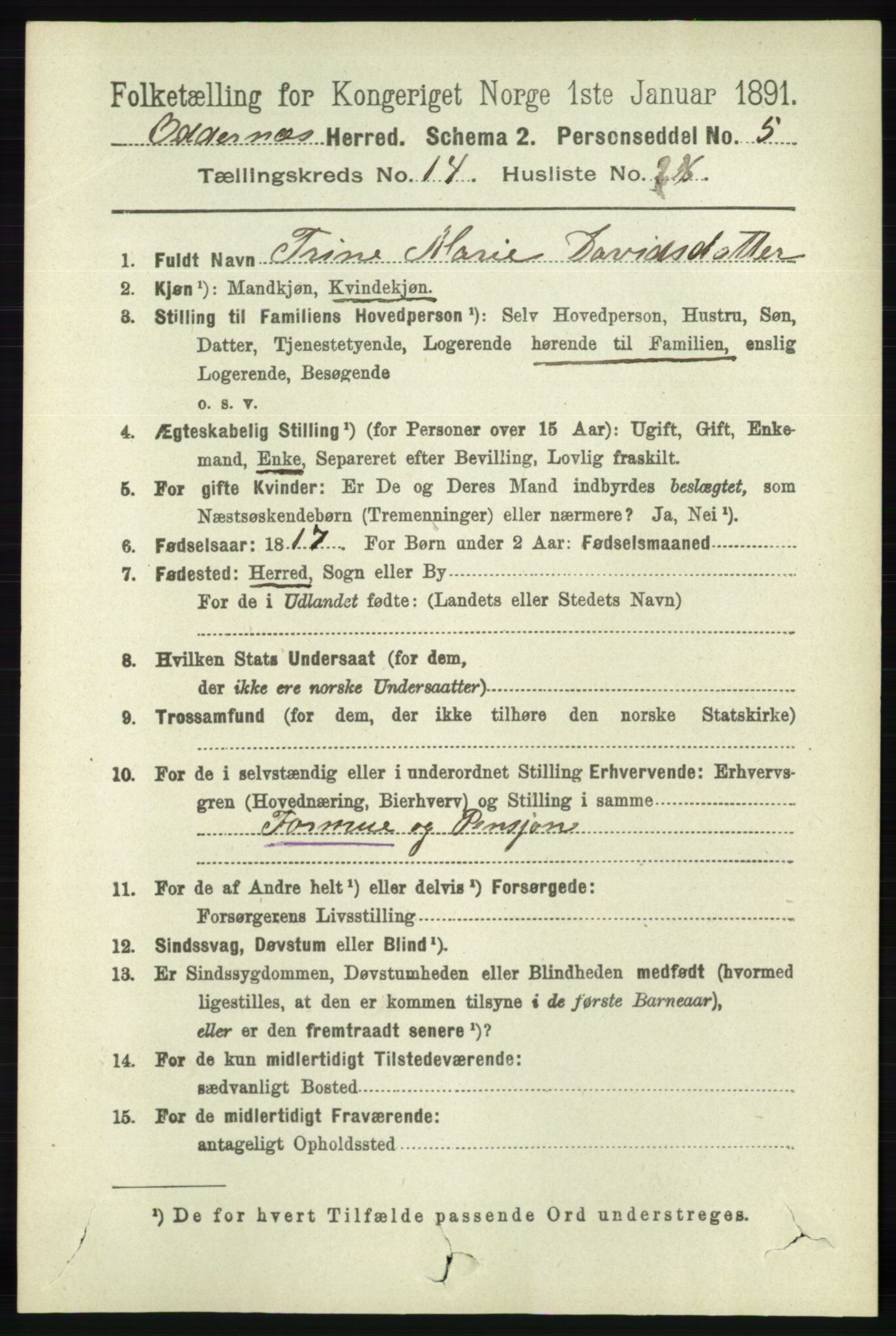 RA, 1891 census for 1012 Oddernes, 1891, p. 5005