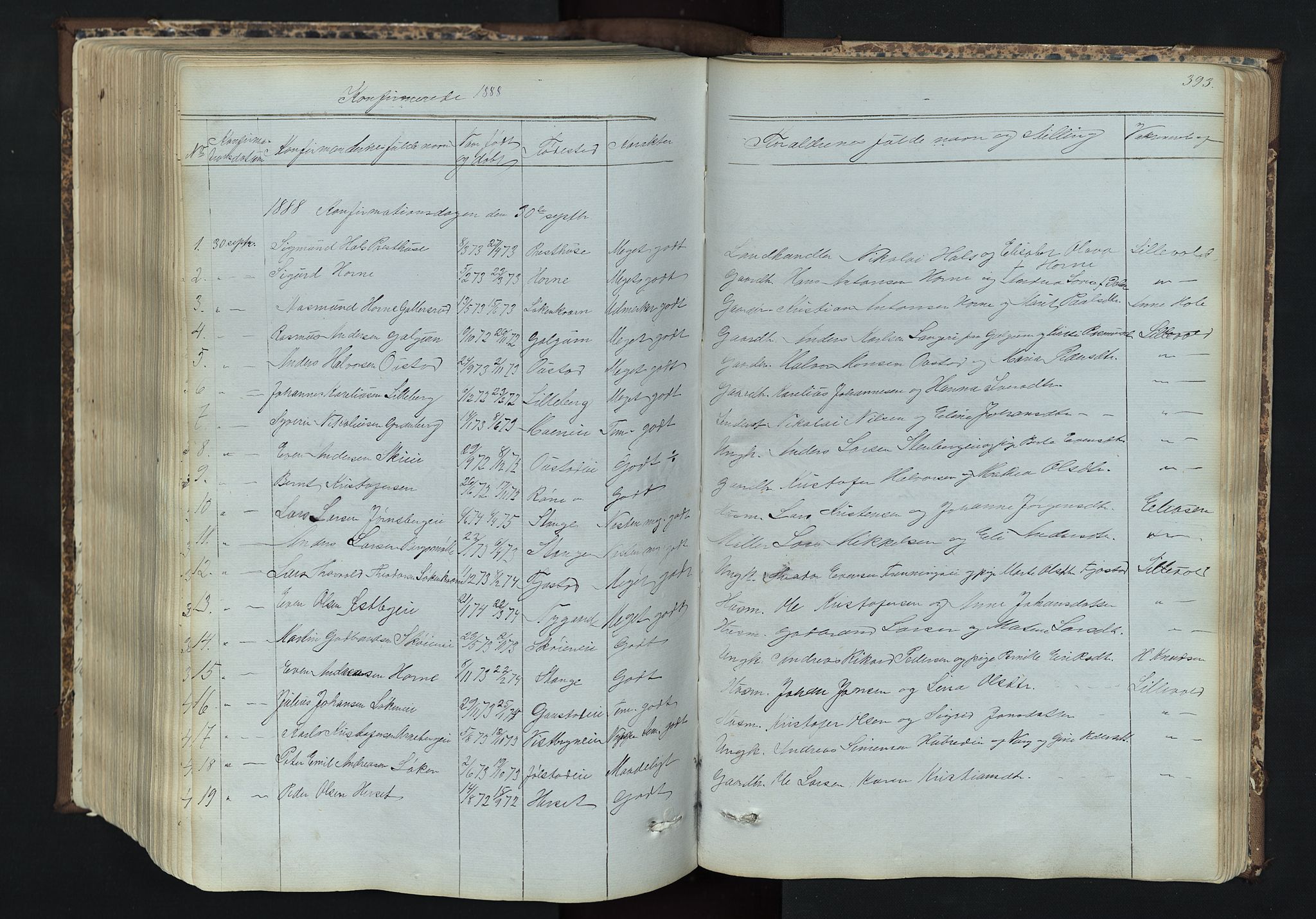 Romedal prestekontor, SAH/PREST-004/L/L0011: Parish register (copy) no. 11, 1867-1895, p. 393