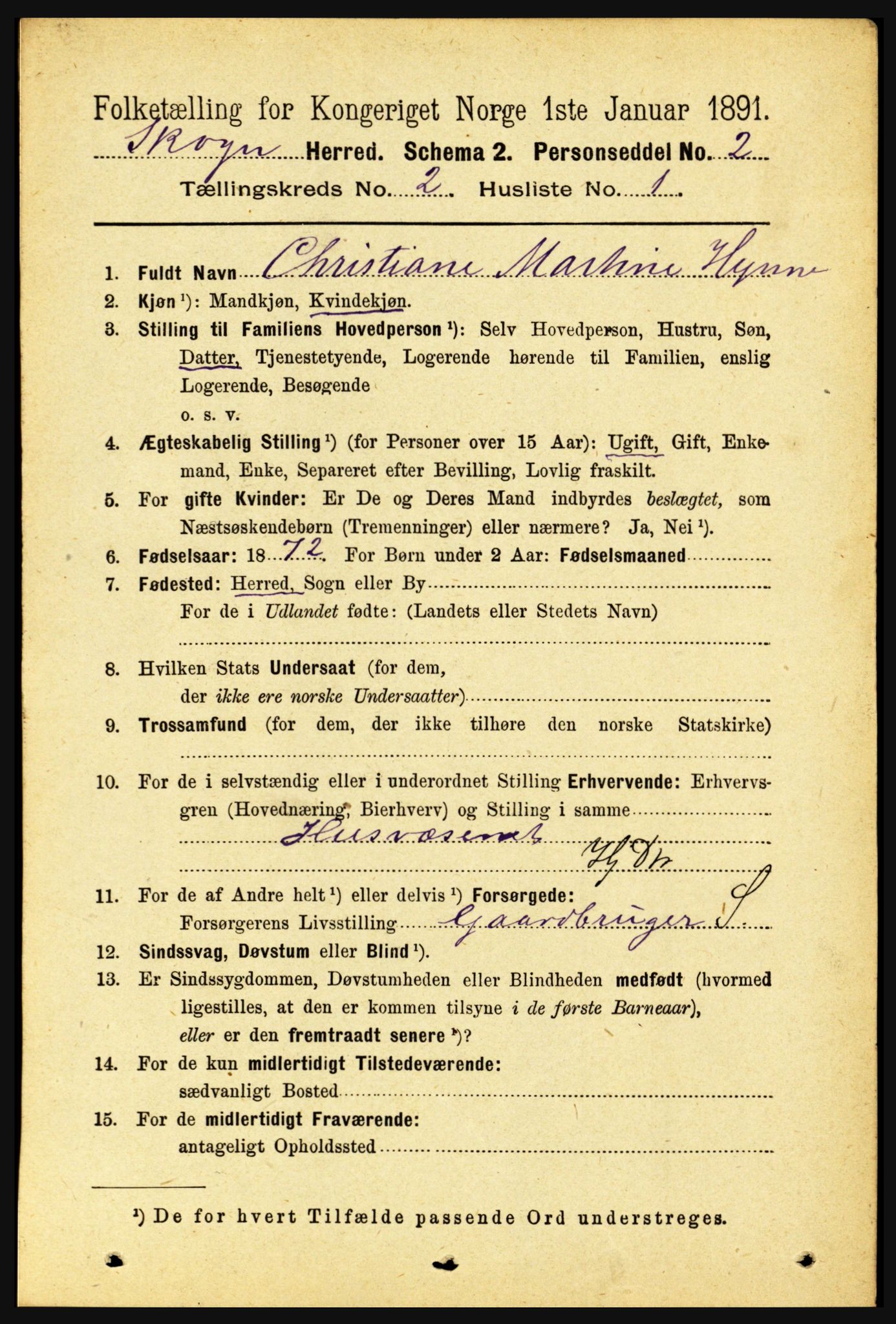 RA, 1891 census for 1719 Skogn, 1891, p. 976