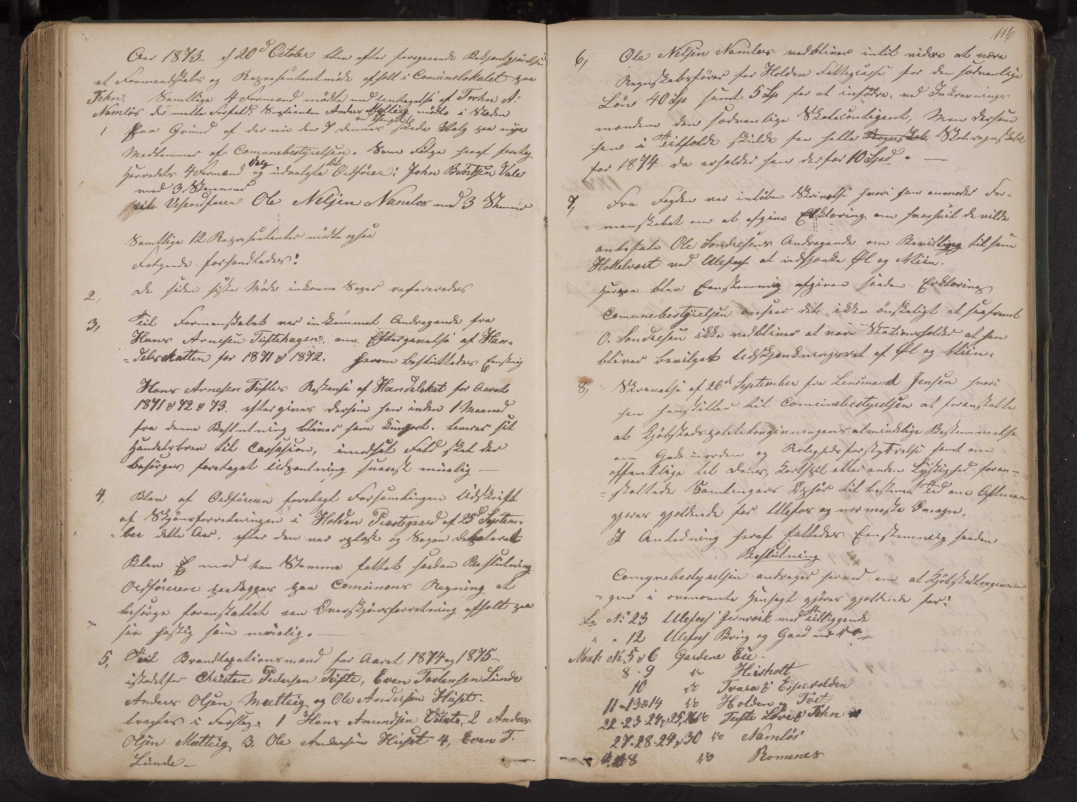 Holla formannskap og sentraladministrasjon, IKAK/0819021-1/A/L0002: Møtebok, 1864-1880, p. 116