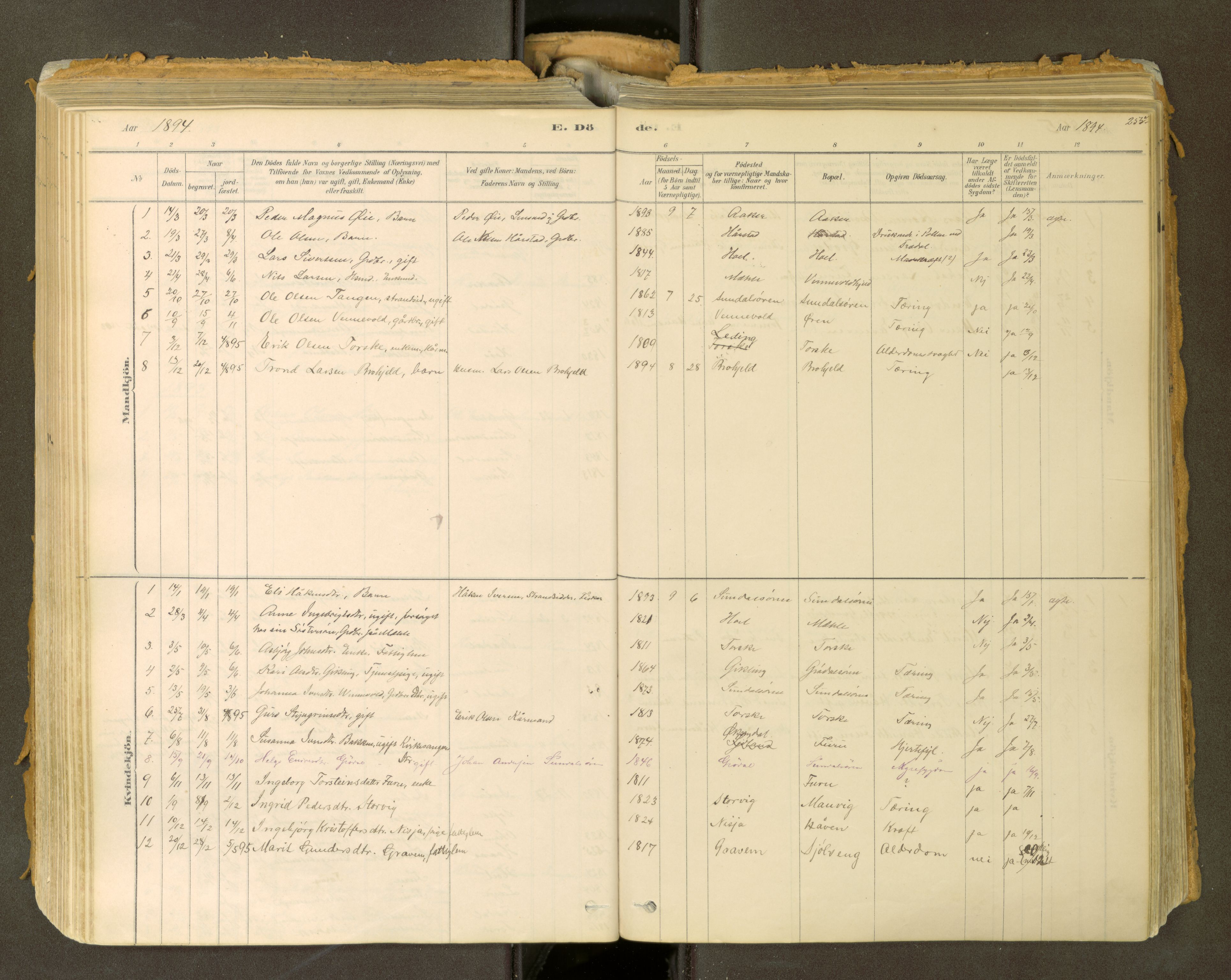Sunndal sokneprestkontor, SAT/A-1085/1/I/I1/I1a: Parish register (official) no. 2, 1877-1914, p. 255