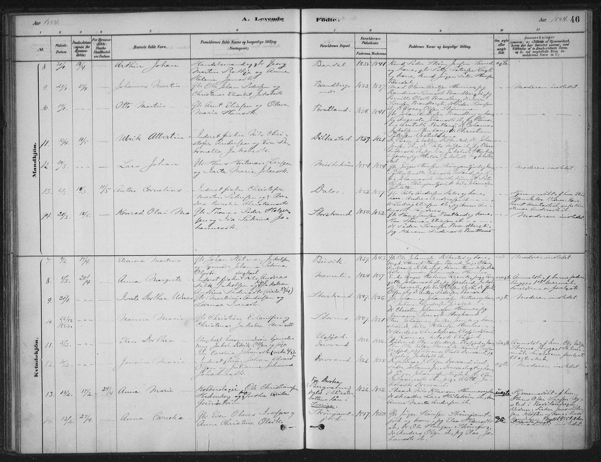 Ministerialprotokoller, klokkerbøker og fødselsregistre - Nordland, AV/SAT-A-1459/825/L0361: Parish register (official) no. 825A15, 1878-1893, p. 46