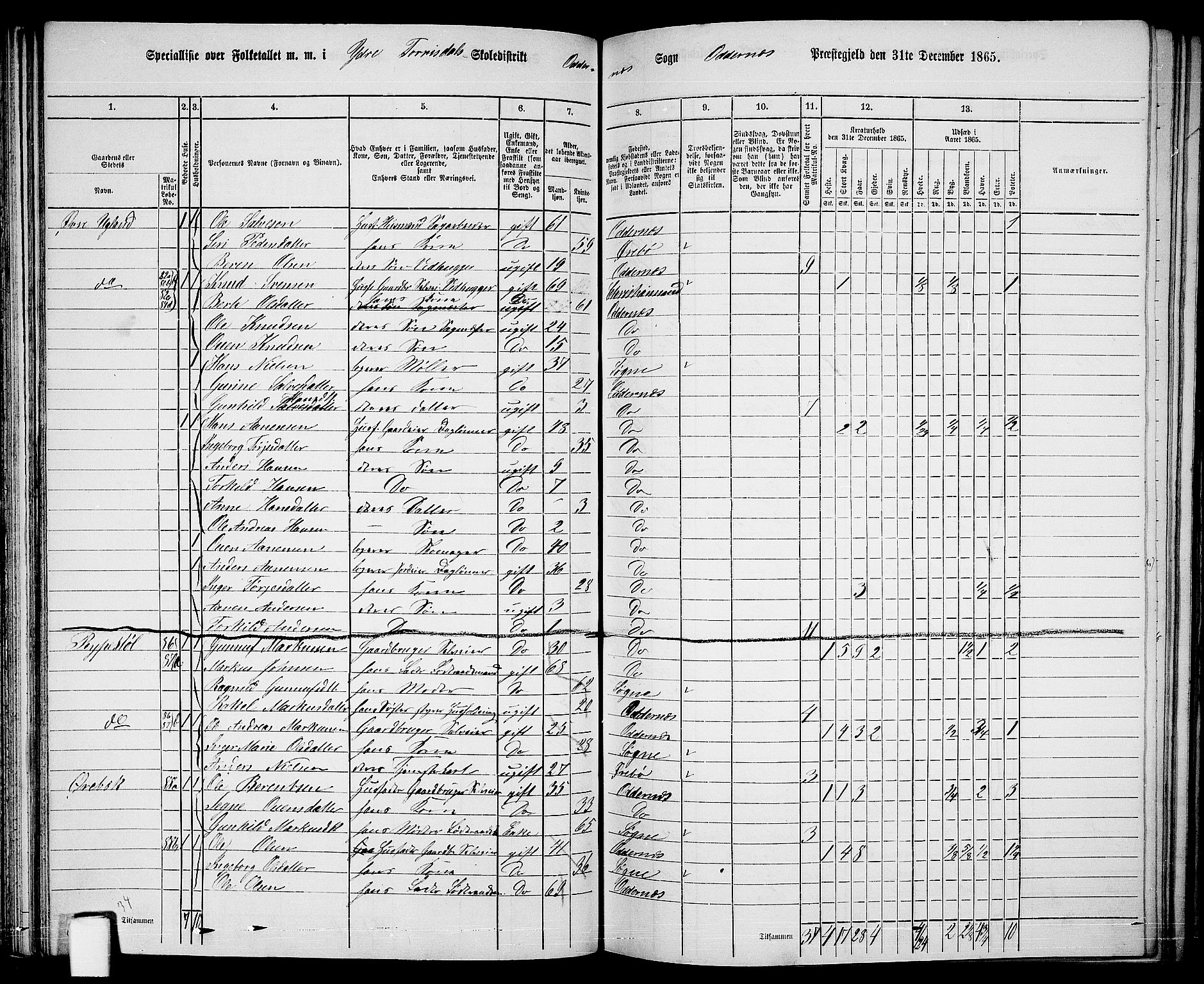 RA, 1865 census for Oddernes, 1865, p. 60