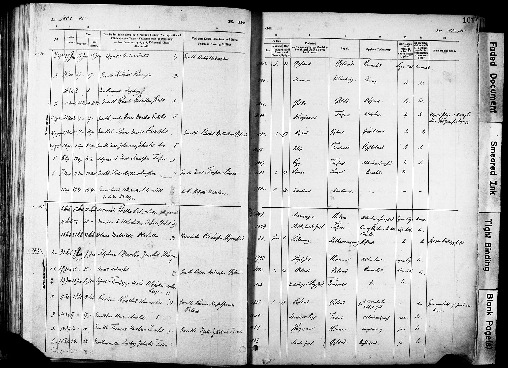 Hetland sokneprestkontor, SAST/A-101826/30/30BA/L0012: Parish register (official) no. A 12, 1882-1912, p. 101