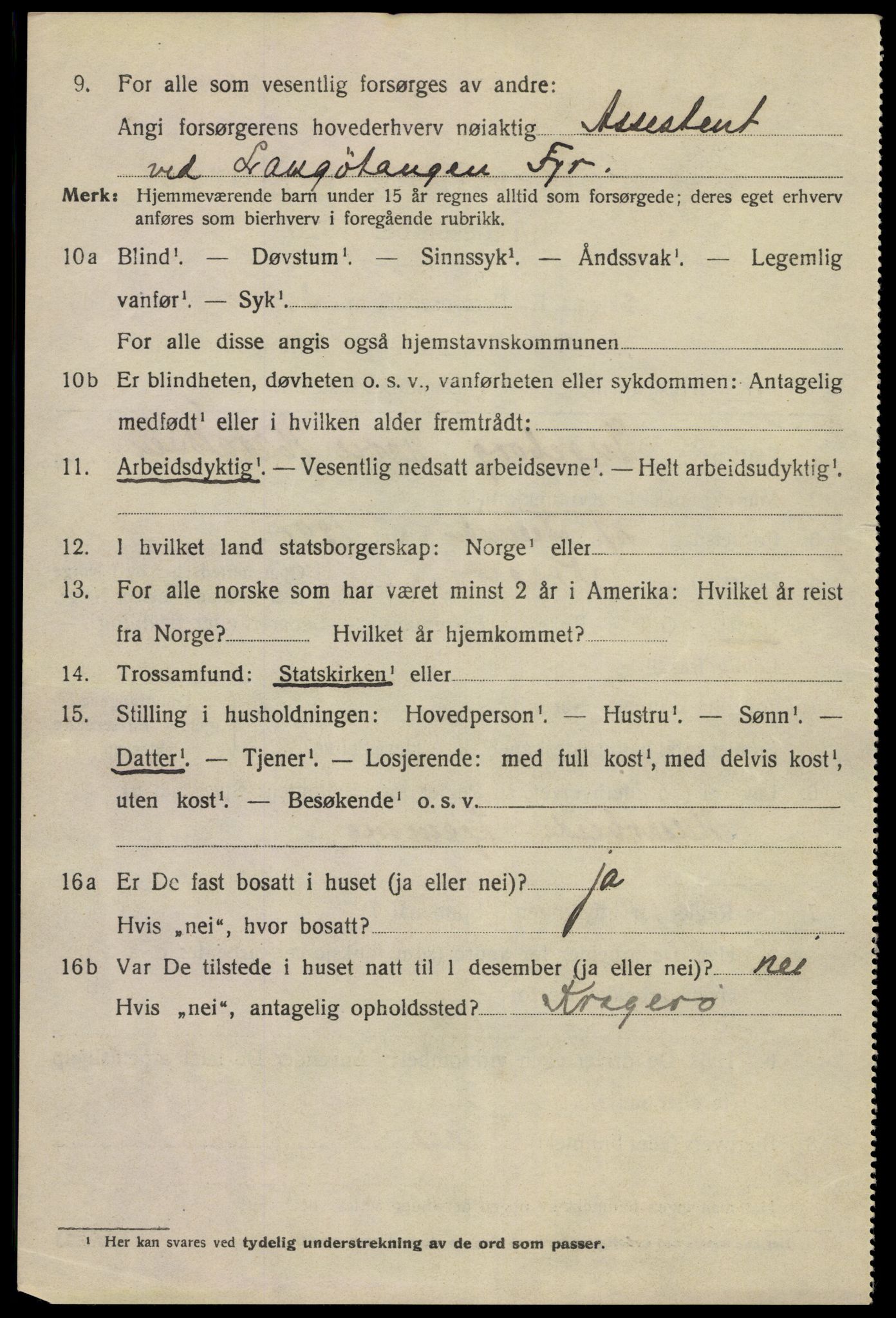 SAKO, 1920 census for Langesund, 1920, p. 3690