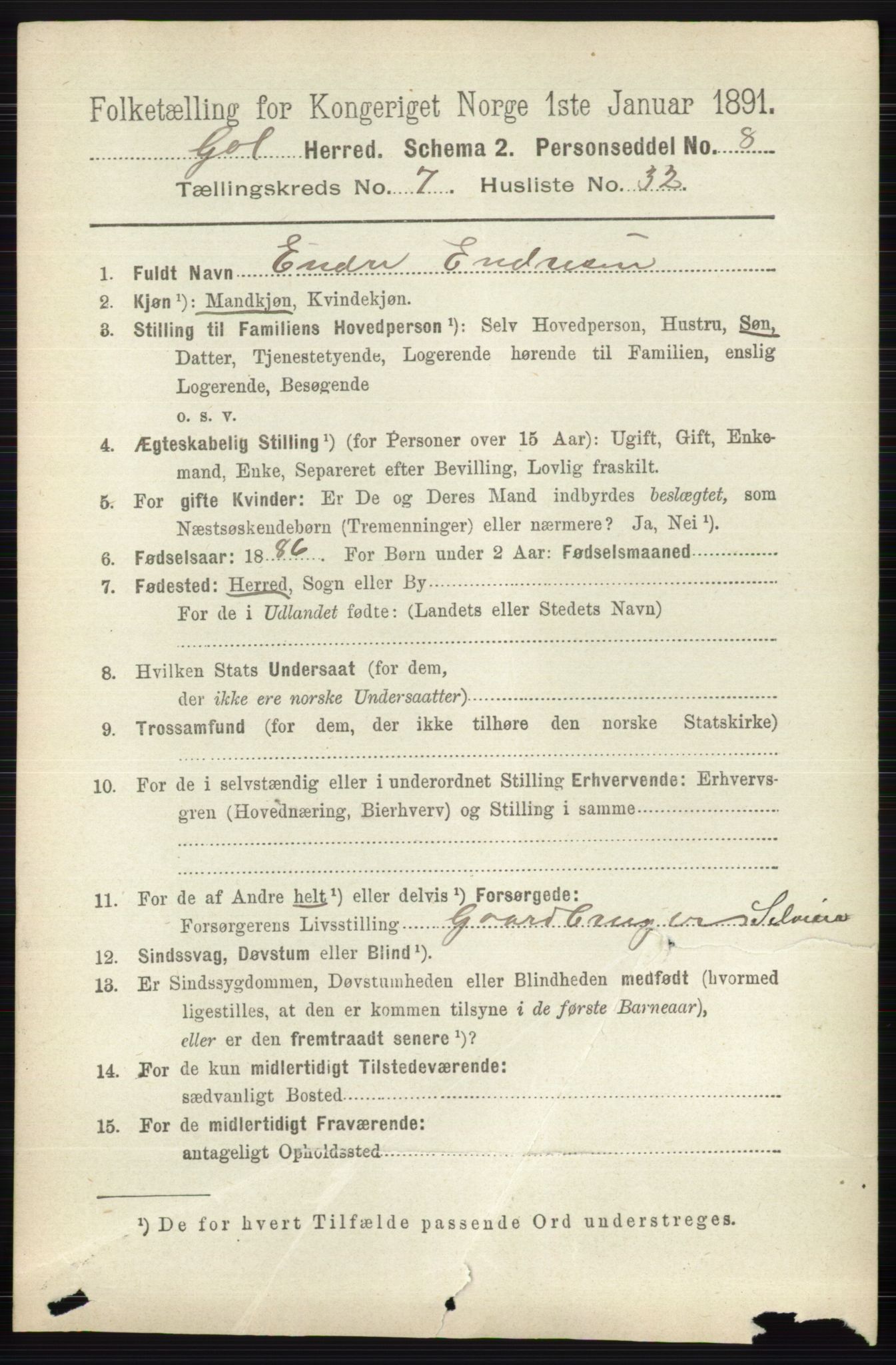 RA, 1891 census for 0617 Gol og Hemsedal, 1891, p. 2978