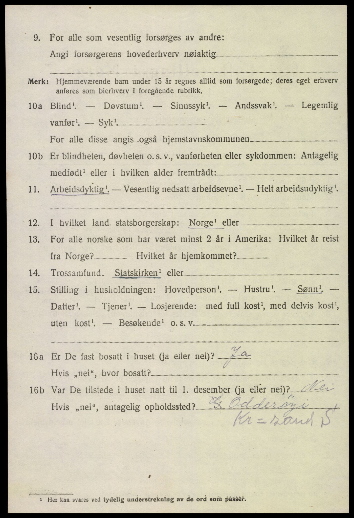 SAK, 1920 census for Hornnes, 1920, p. 1804