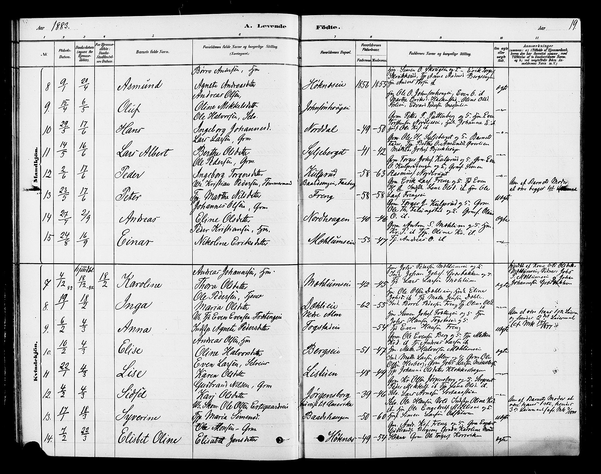 Ringsaker prestekontor, SAH/PREST-014/L/La/L0010: Parish register (copy) no. 10, 1879-1890, p. 19