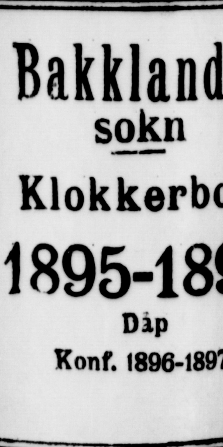 Ministerialprotokoller, klokkerbøker og fødselsregistre - Sør-Trøndelag, AV/SAT-A-1456/604/L0225: Parish register (copy) no. 604C08, 1895-1899