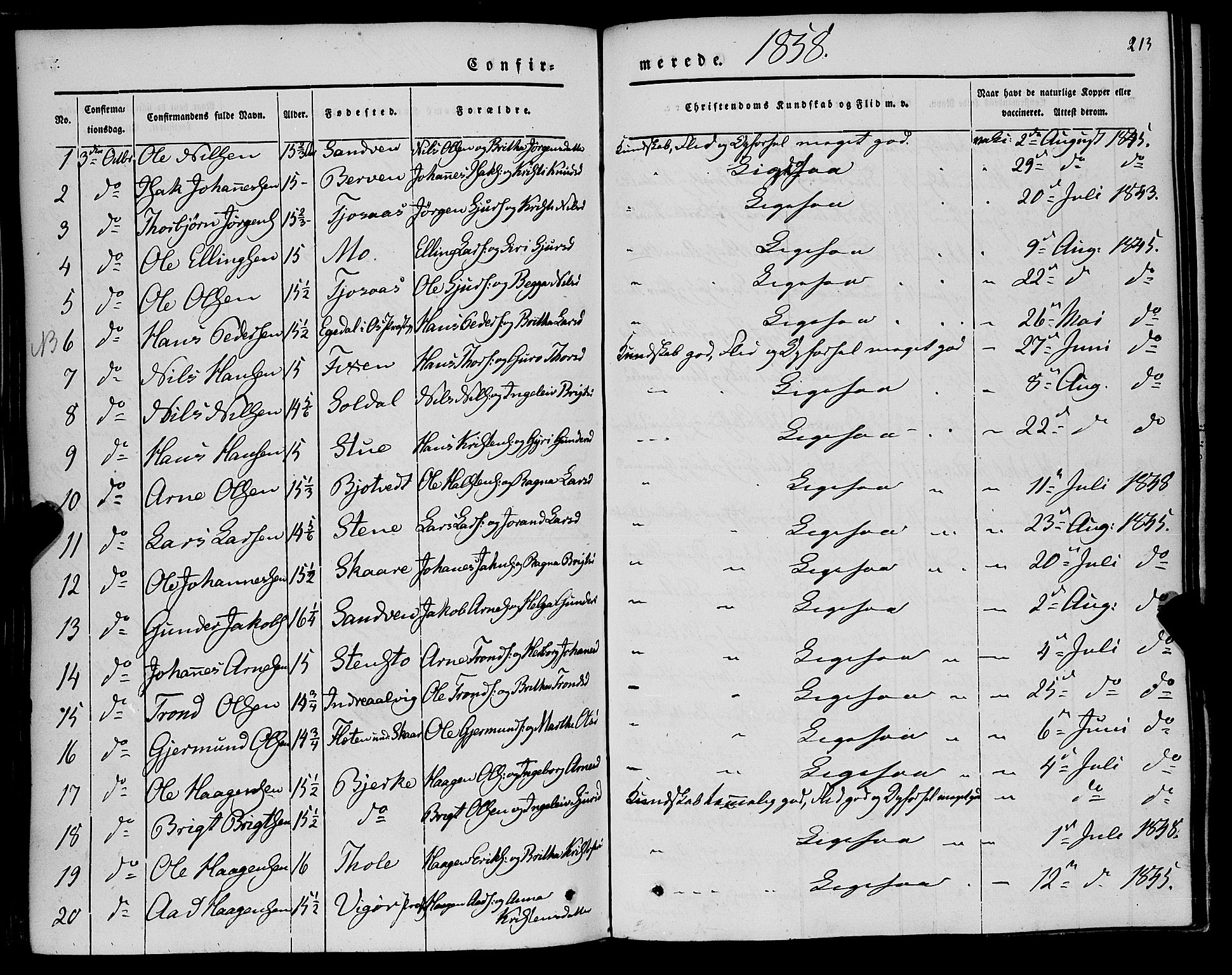 Kvam sokneprestembete, SAB/A-76201/H/Haa: Parish register (official) no. A 8, 1844-1863, p. 213