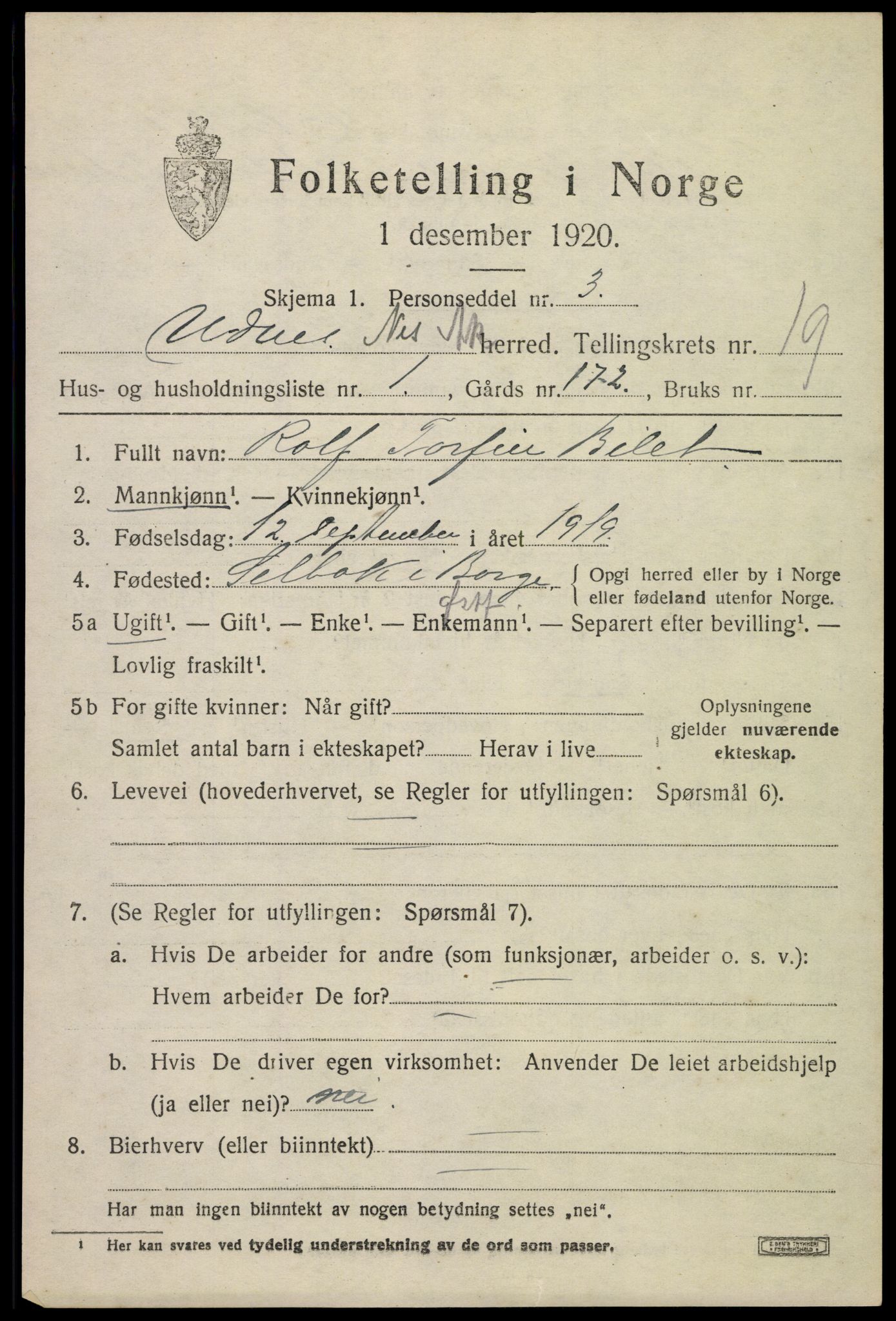 SAO, 1920 census for Nes, 1920, p. 19112