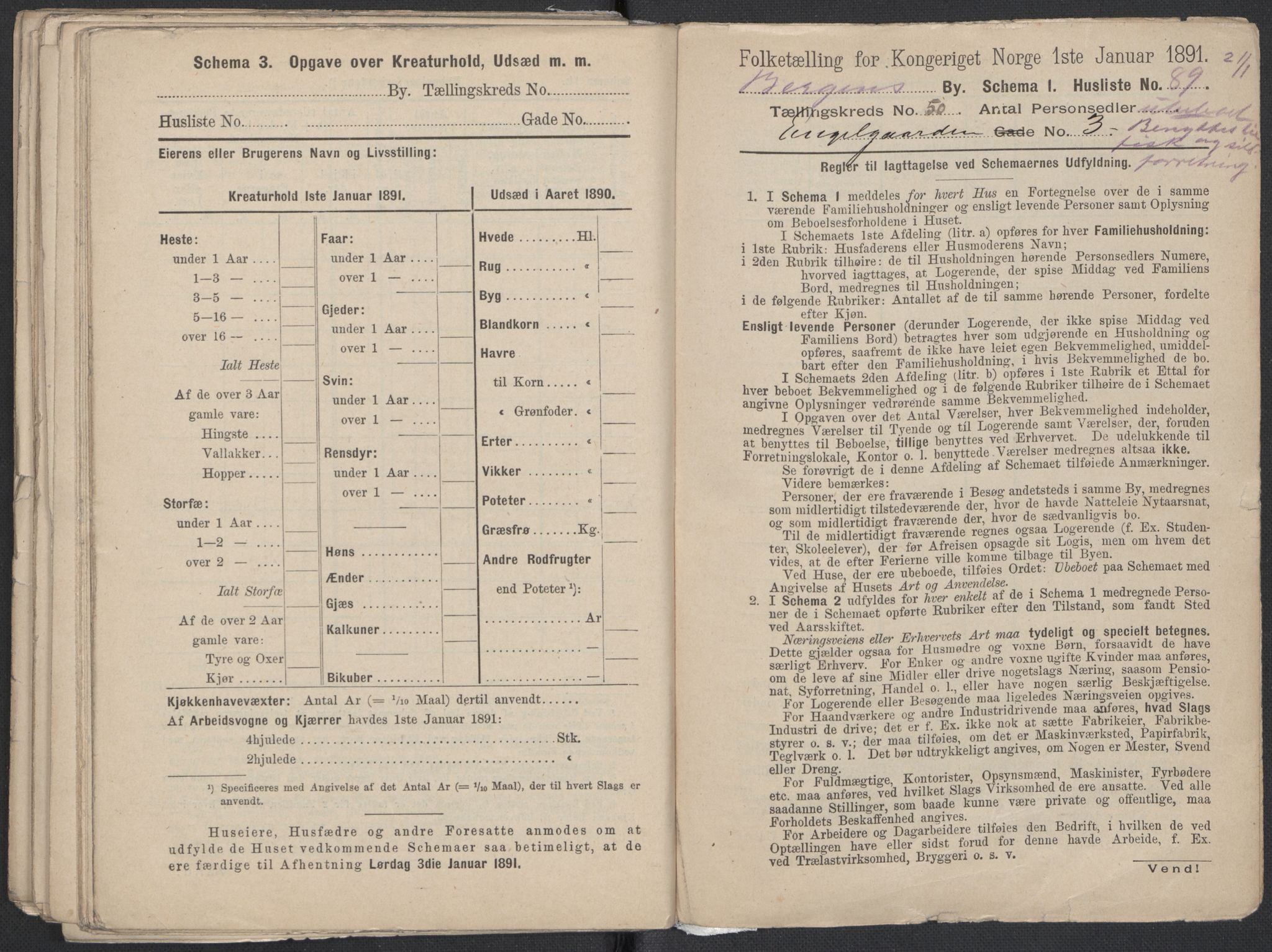 RA, 1891 Census for 1301 Bergen, 1891, p. 8318