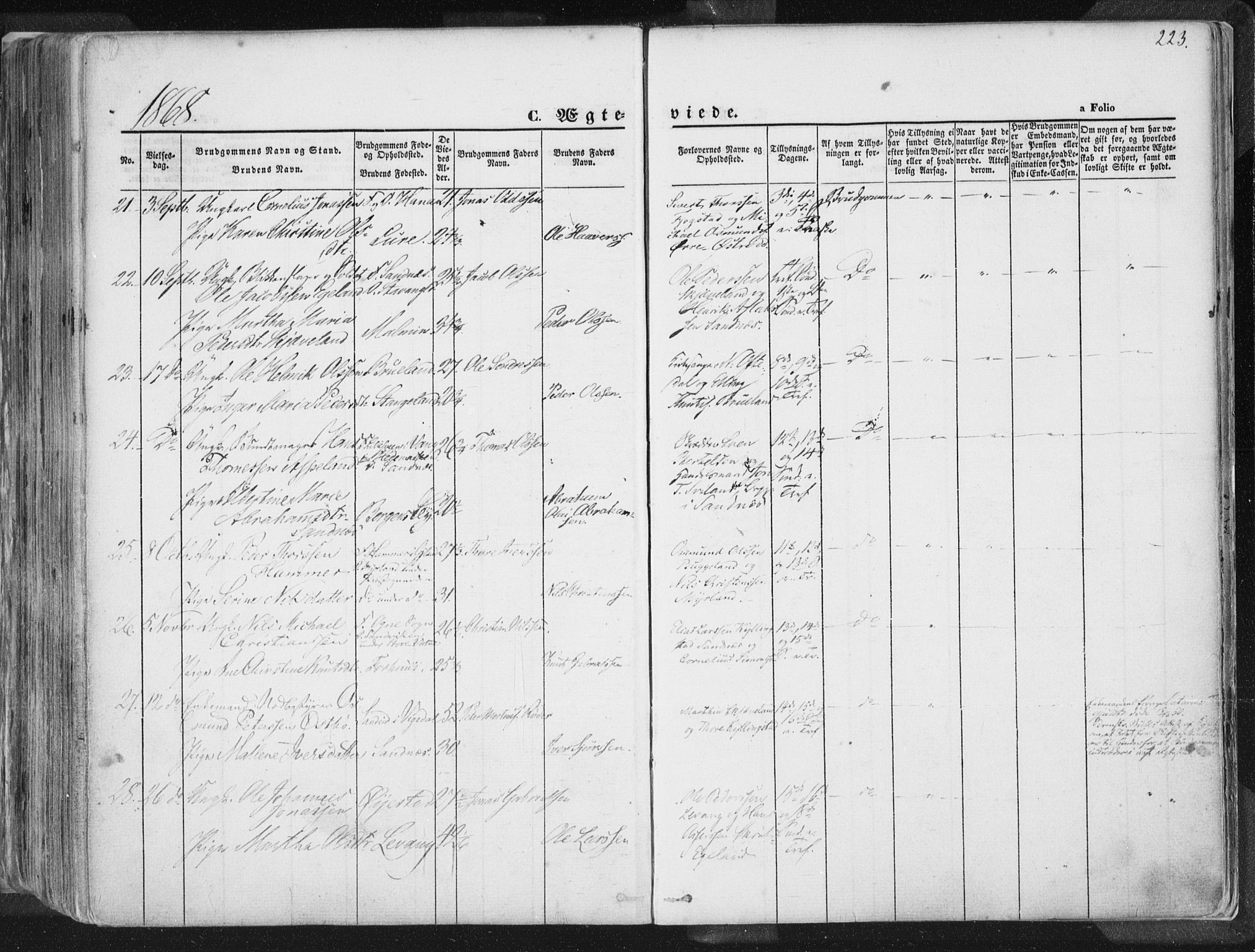 Høyland sokneprestkontor, AV/SAST-A-101799/001/30BA/L0010: Parish register (official) no. A 9.1, 1857-1877, p. 223