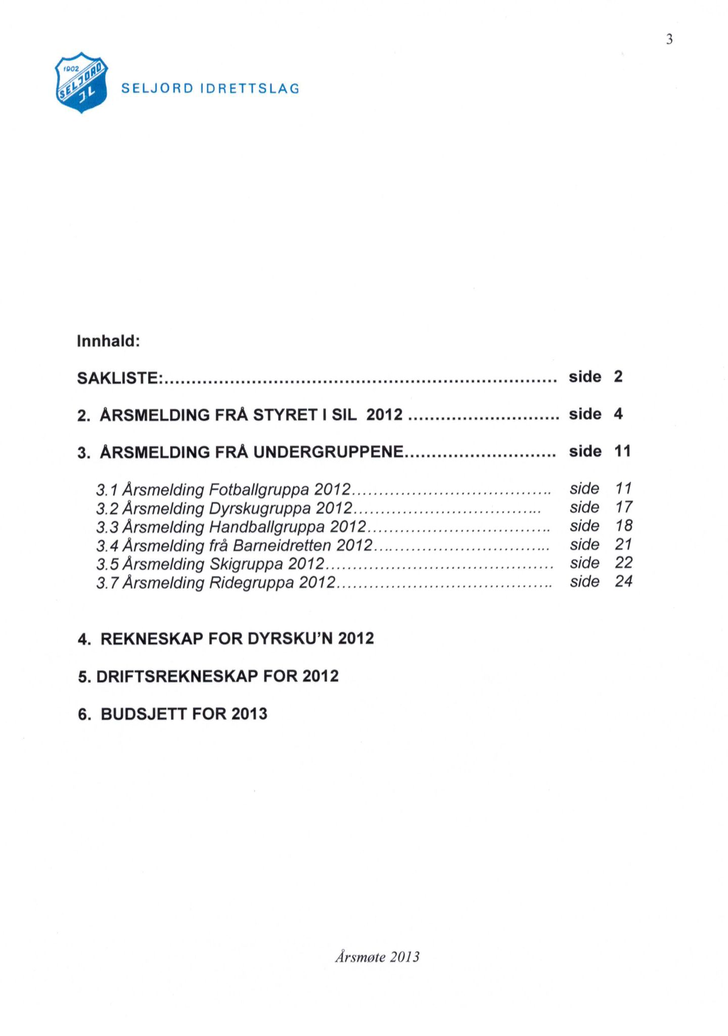 Seljord Idrettslag, VTM/A-1034/A/Ab/L0003: Årsmeldingar, 2012, p. 3