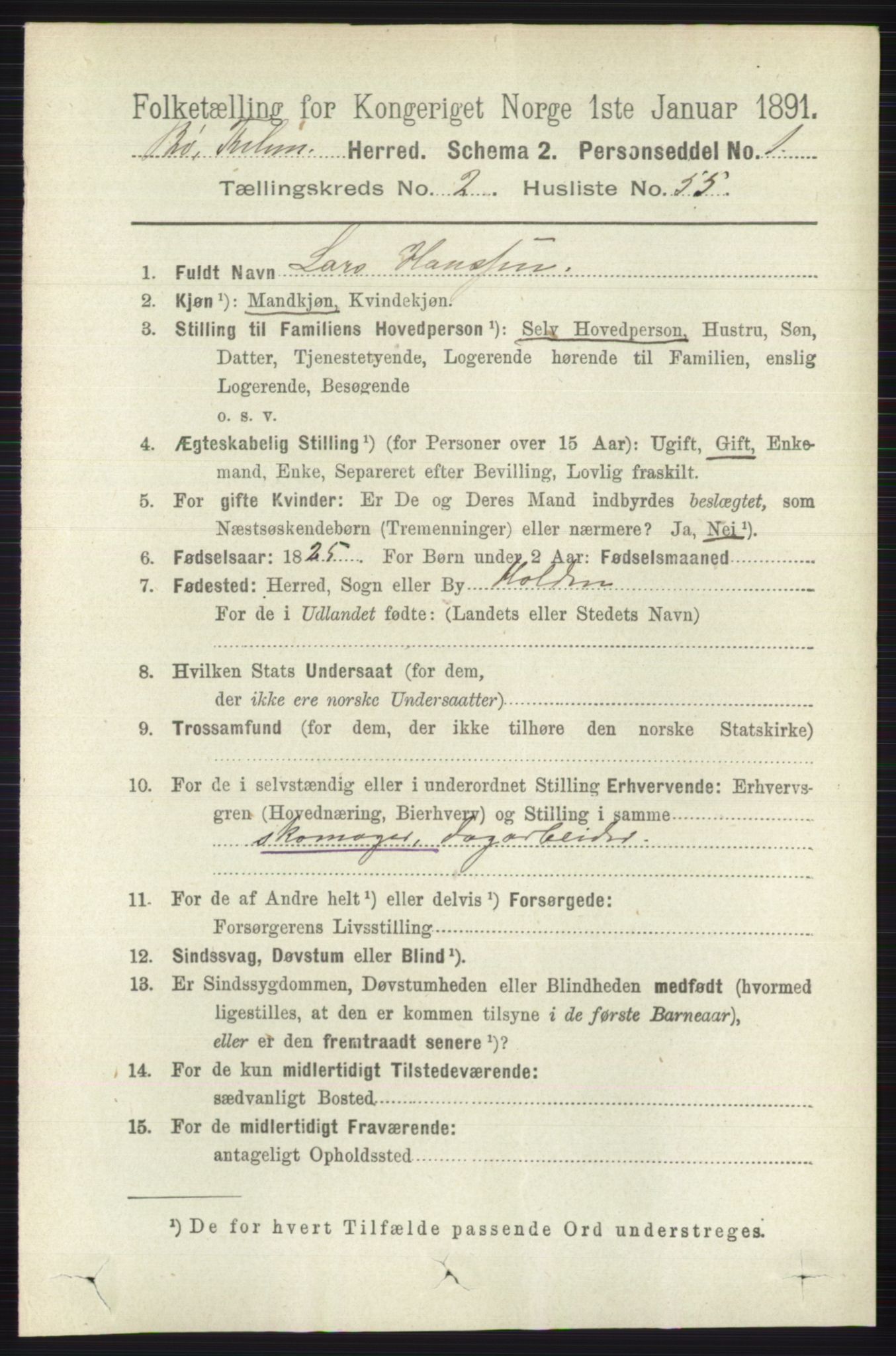 RA, 1891 census for 0821 Bø, 1891, p. 964