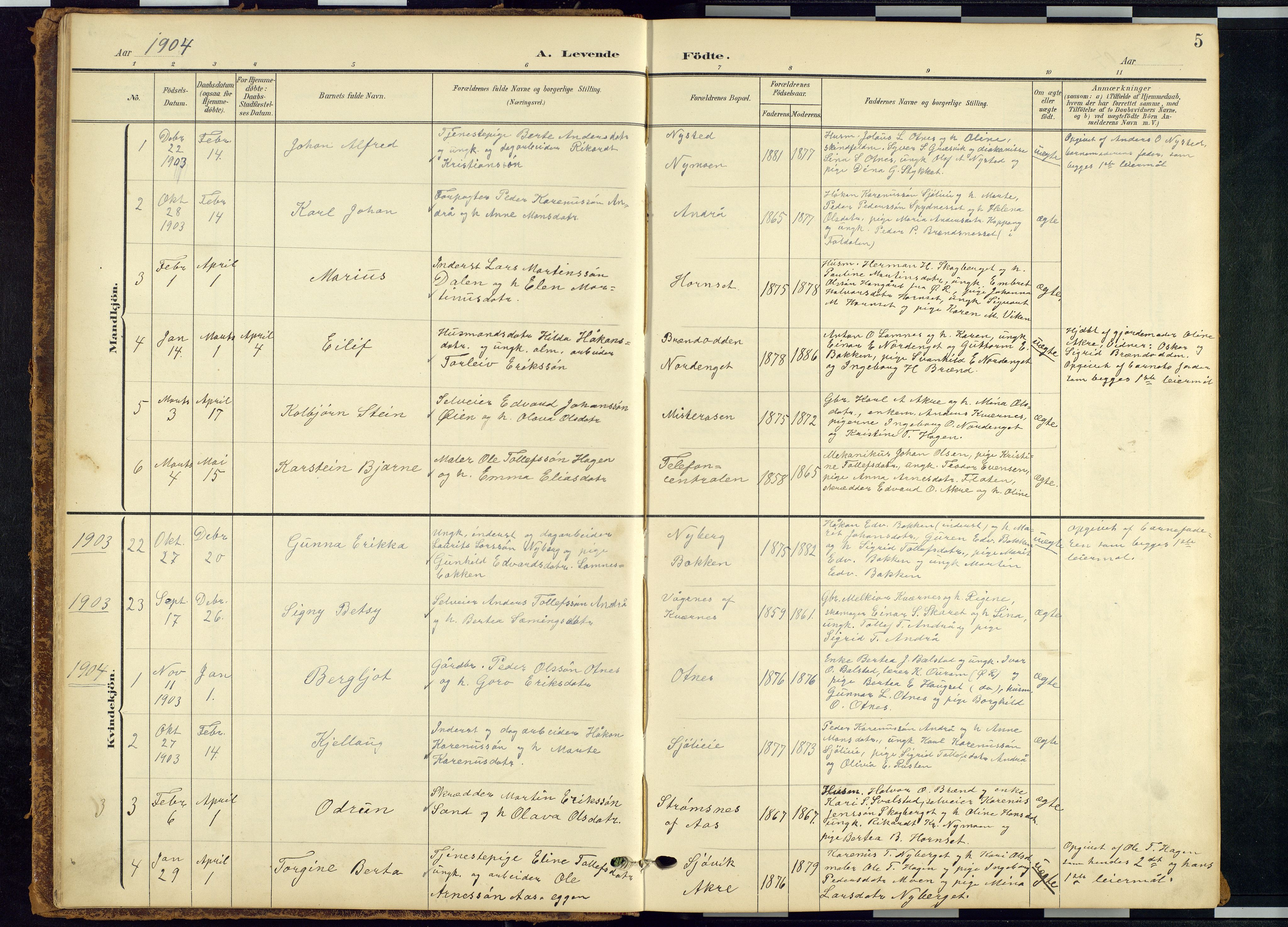 Rendalen prestekontor, SAH/PREST-054/H/Ha/Hab/L0010: Parish register (copy) no. 10, 1903-1940, p. 5