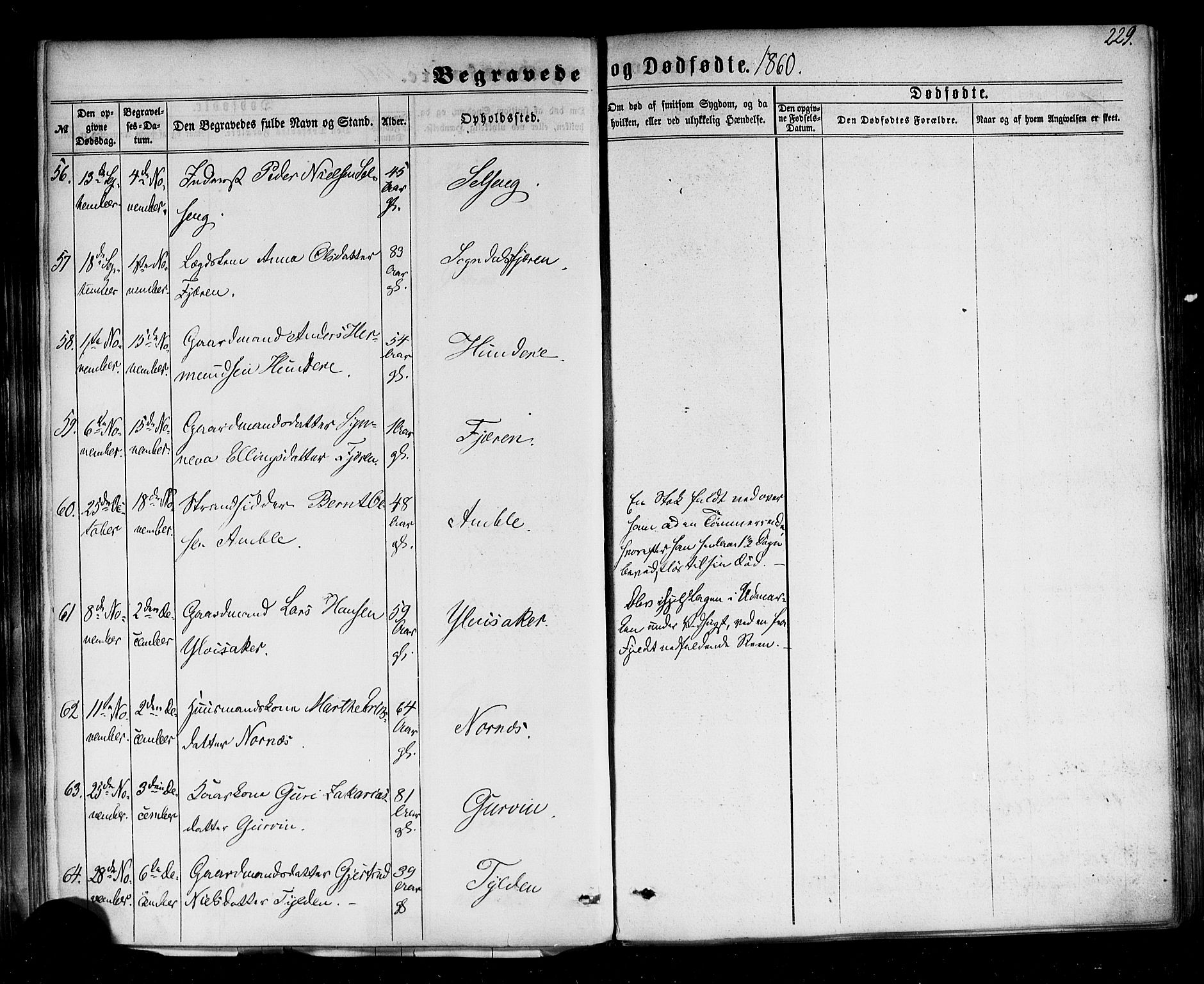 Sogndal sokneprestembete, AV/SAB-A-81301/H/Haa/Haaa/L0013: Parish register (official) no. A 13, 1859-1877, p. 229