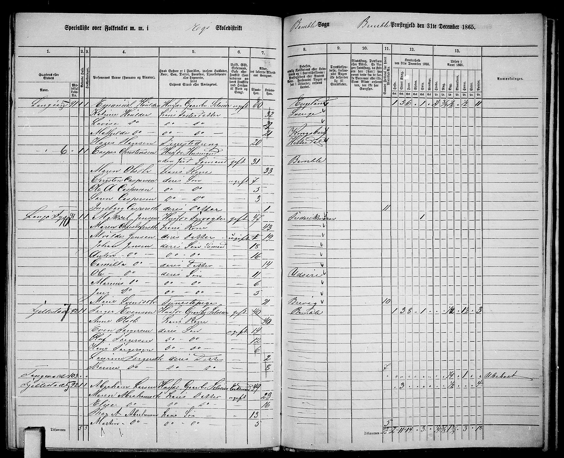 RA, 1865 census for Bamble, 1865, p. 164