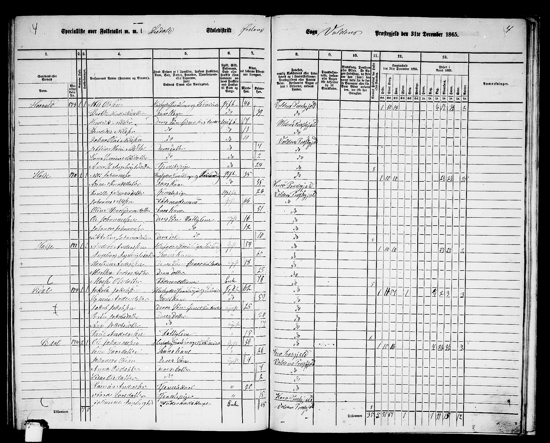 RA, 1865 census for Volda, 1865, p. 165