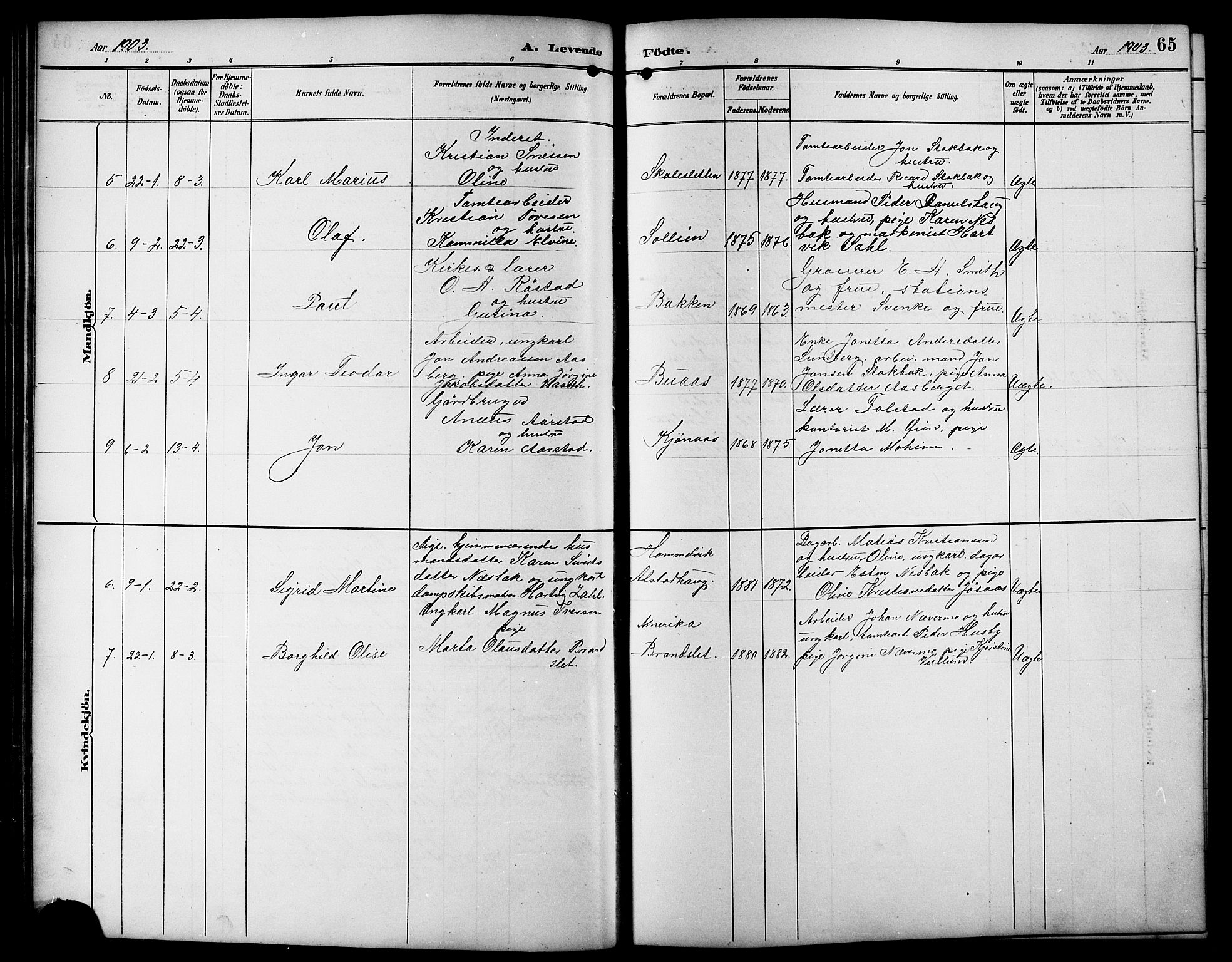 Ministerialprotokoller, klokkerbøker og fødselsregistre - Sør-Trøndelag, SAT/A-1456/617/L0431: Parish register (copy) no. 617C01, 1889-1910, p. 65