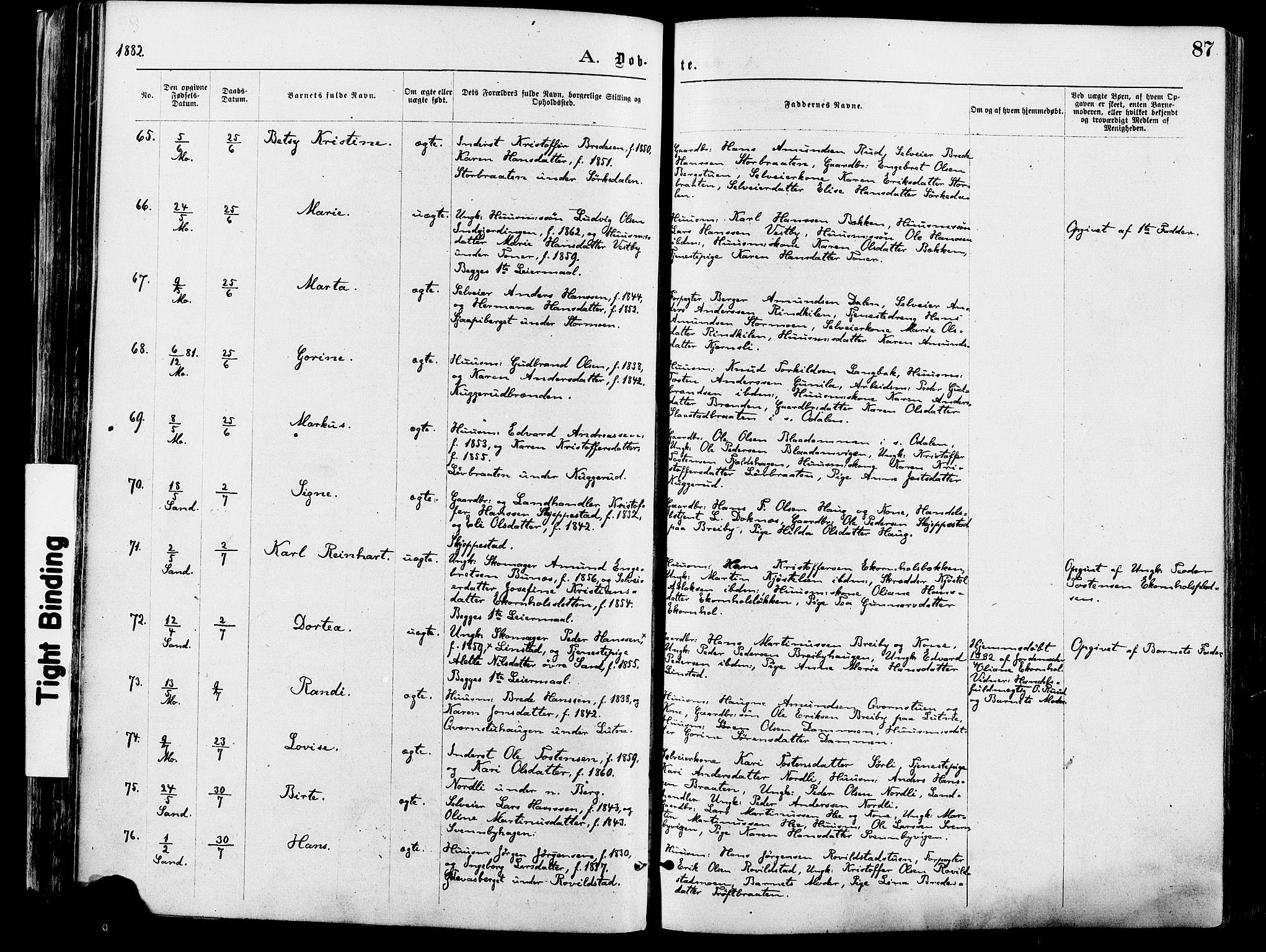 Nord-Odal prestekontor, AV/SAH-PREST-032/H/Ha/Haa/L0005: Parish register (official) no. 5, 1874-1885, p. 87