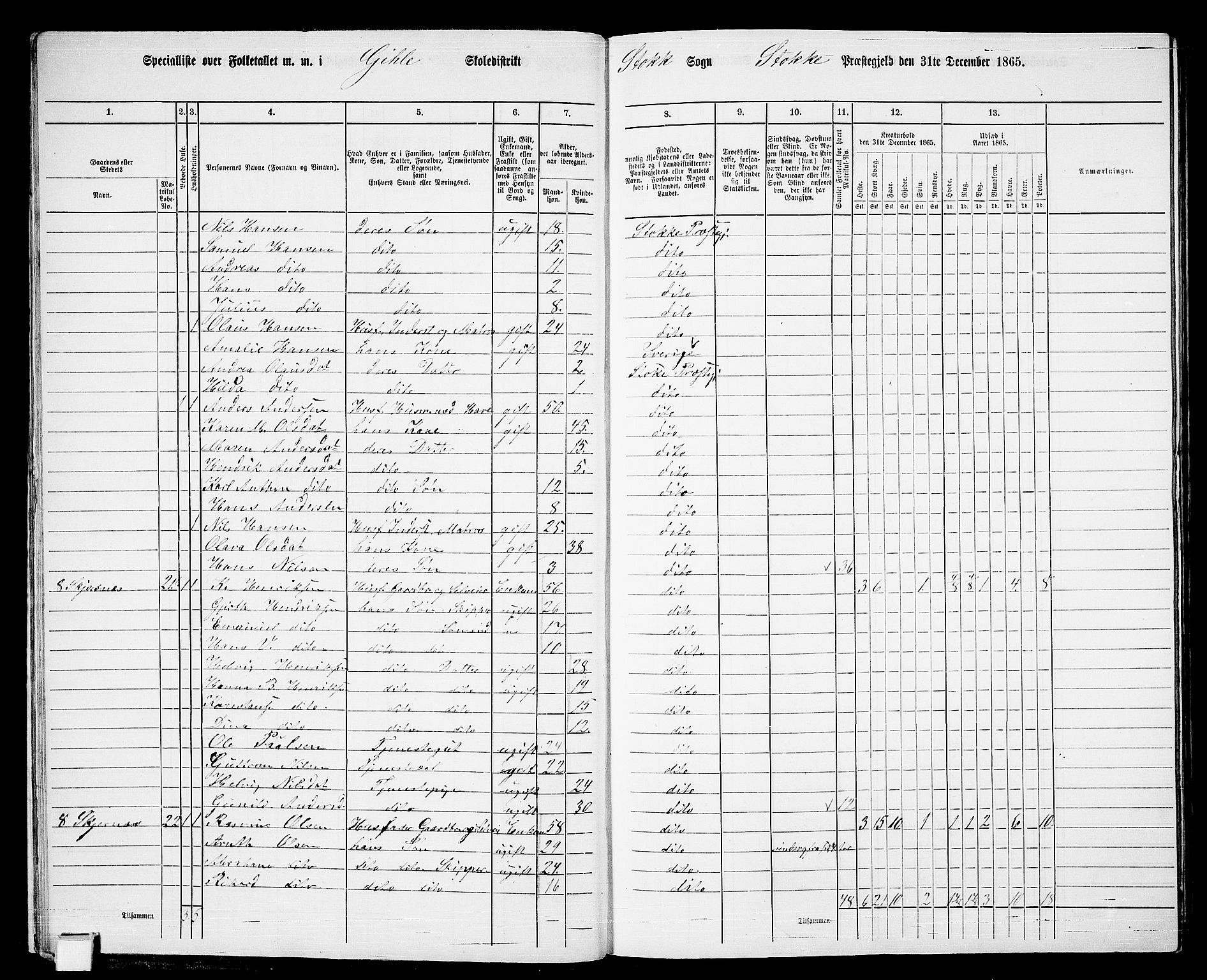 RA, 1865 census for Stokke, 1865, p. 21