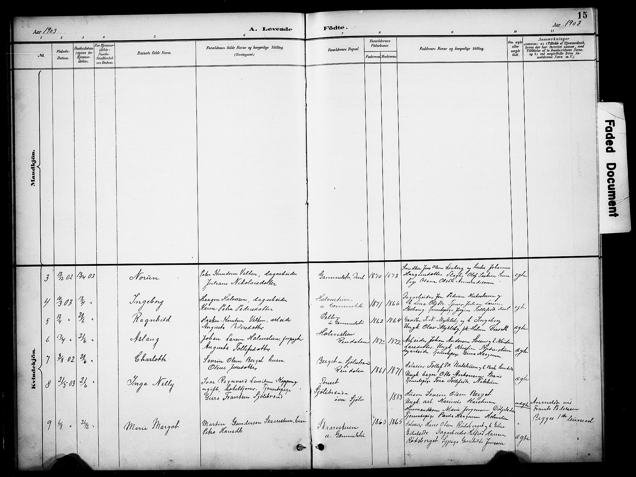 Åmot prestekontor, Hedmark, AV/SAH-PREST-056/H/Ha/Hab/L0013: Parish register (copy) no. 13, 1895-1910, p. 15