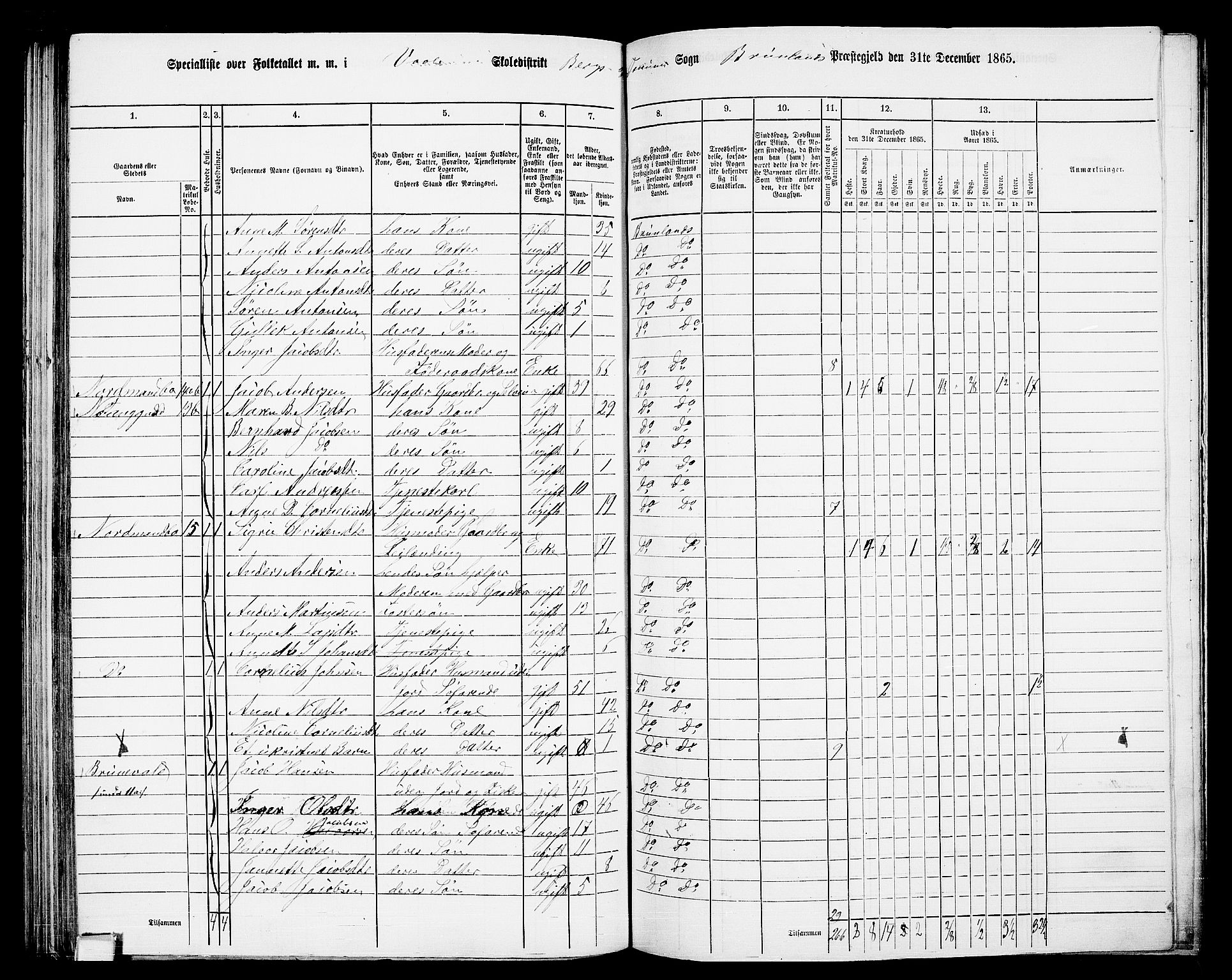 RA, 1865 census for Brunlanes, 1865, p. 124